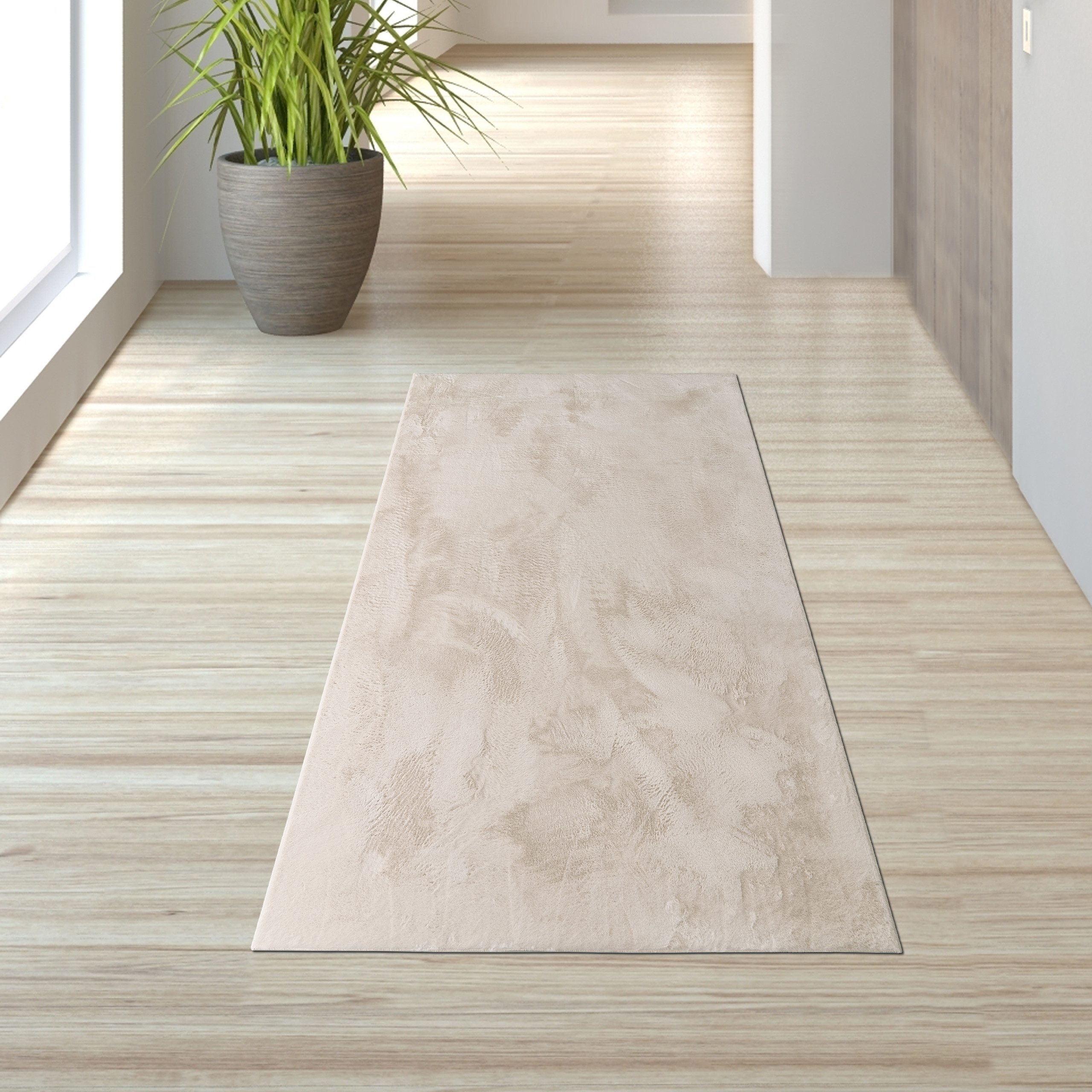 TeppichHome24 Teppich Teppich creme weich pflegeleicht saugrobotergeeignet günstig online kaufen