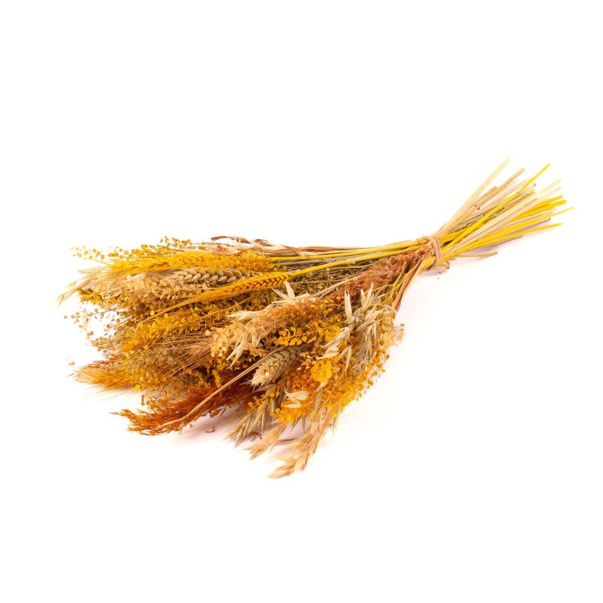 Trockenblume Trockenstrauß DILIANE, gelb-Natur, 50cm, Ø15cm, INNA-Glas, Höhe 50.0 cm