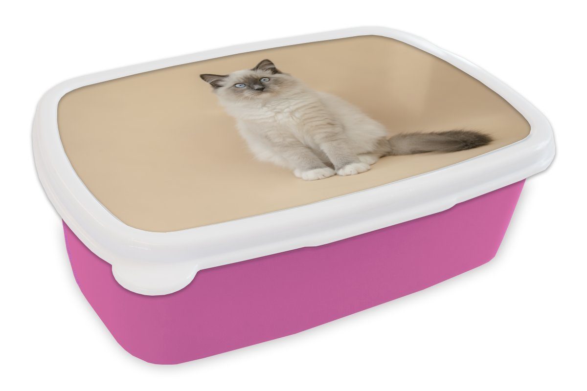 MuchoWow Lunchbox Katze - Siamese - Porträt - Mädchen - Kinder - Jungen - Kinder, Kunststoff, (2-tlg), Brotbox für Erwachsene, Brotdose Kinder, Snackbox, Mädchen, Kunststoff rosa