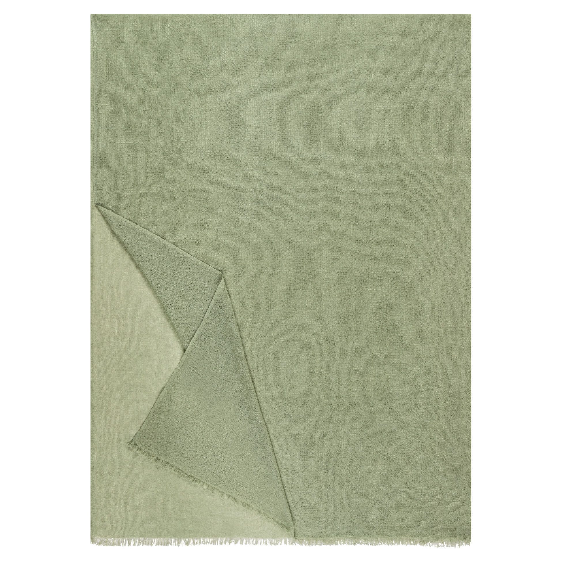 bay leaf