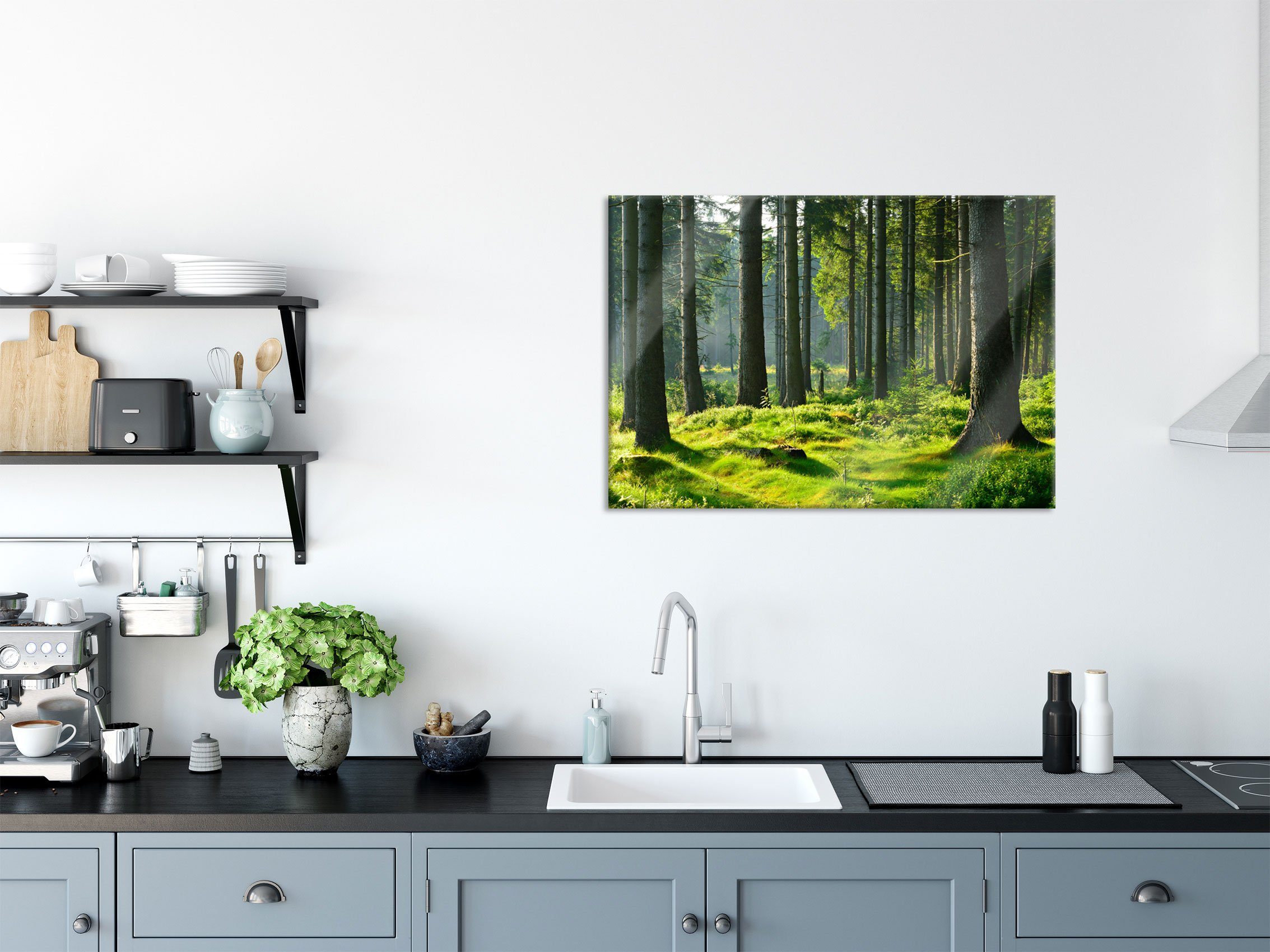 Pixxprint Glasbild sonniger Tag im Wald, günstig online kaufen