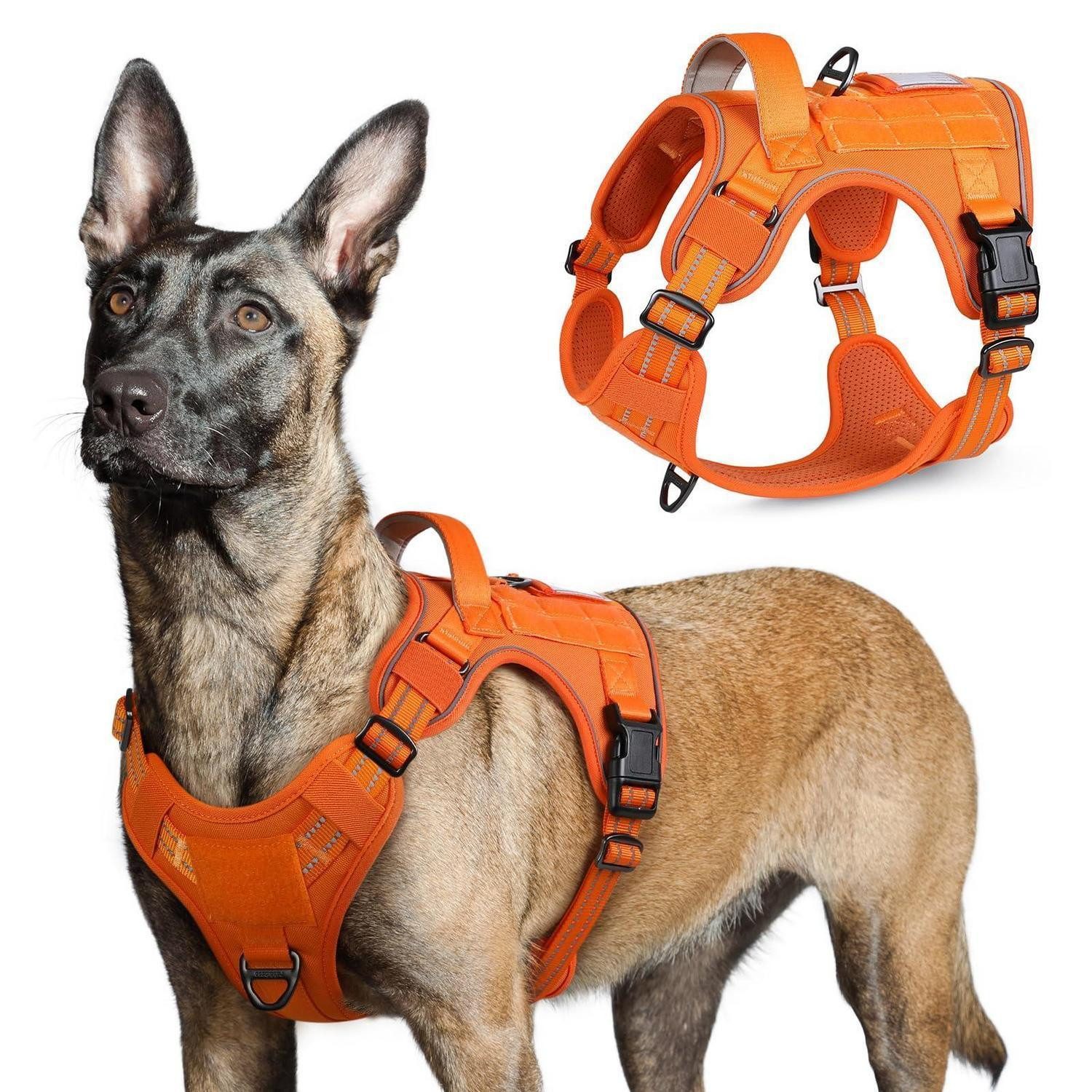 LuxusKollektion Hunde-Geschirr Hundegeschirr Taktisch Große Hunde Orange L, Textil