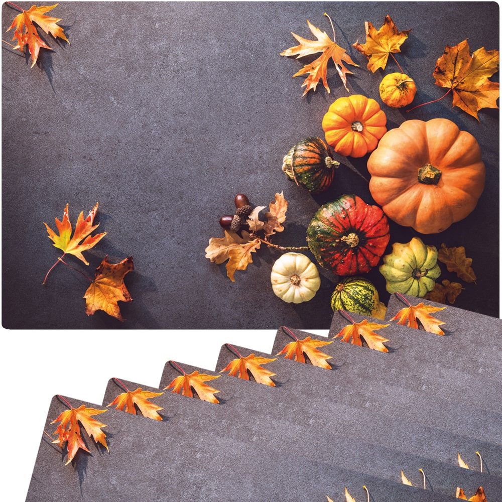 matches21 HOME & HOBBY Platzset Abwaschbare Tischsets 8er Set Herbst-Laub & Kürbisse, (8-St), Platzsets als Tisch-Untersetzer und Tisch-Deko für Esstisch Teller