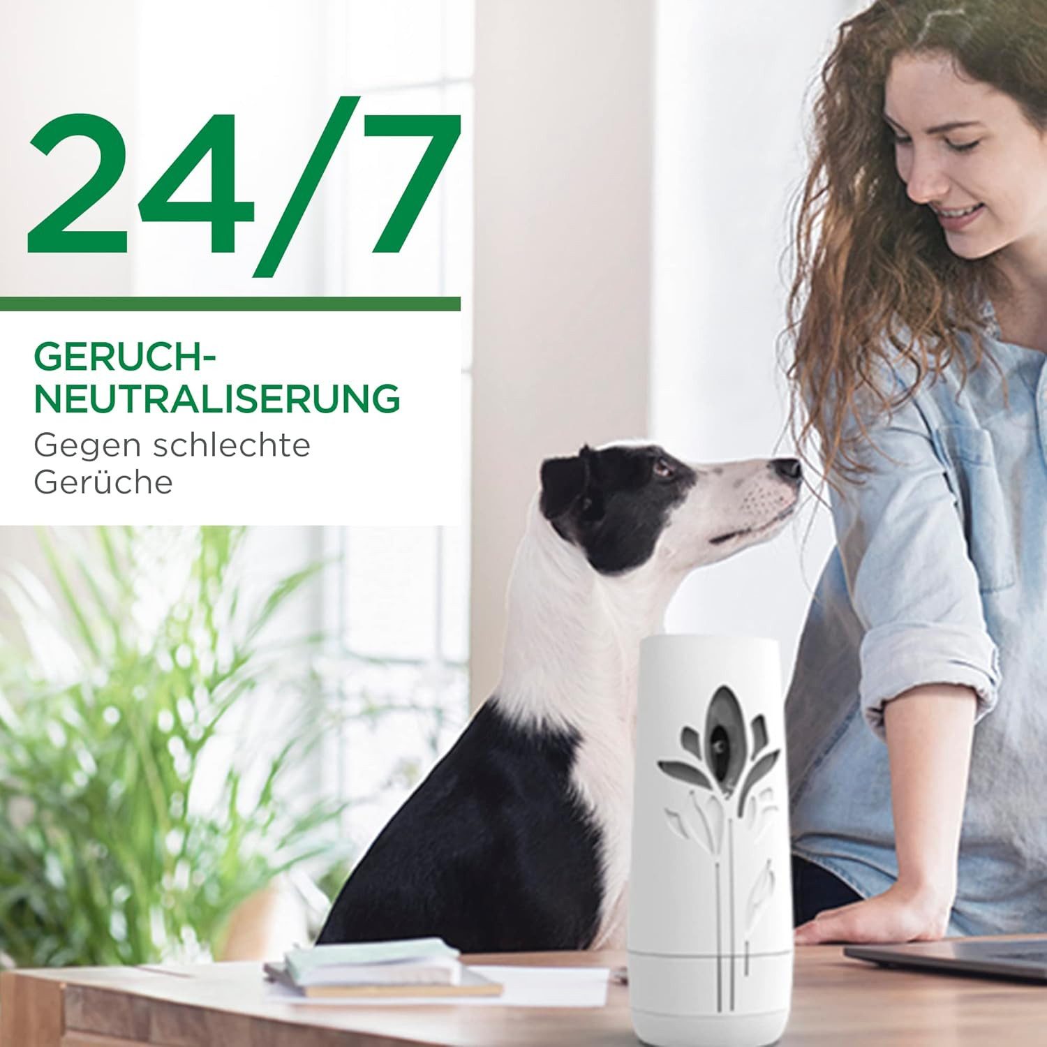 Air Wick Raumduft Freshmatic Max – Starter-Set-Cotton und Weißer Flieder