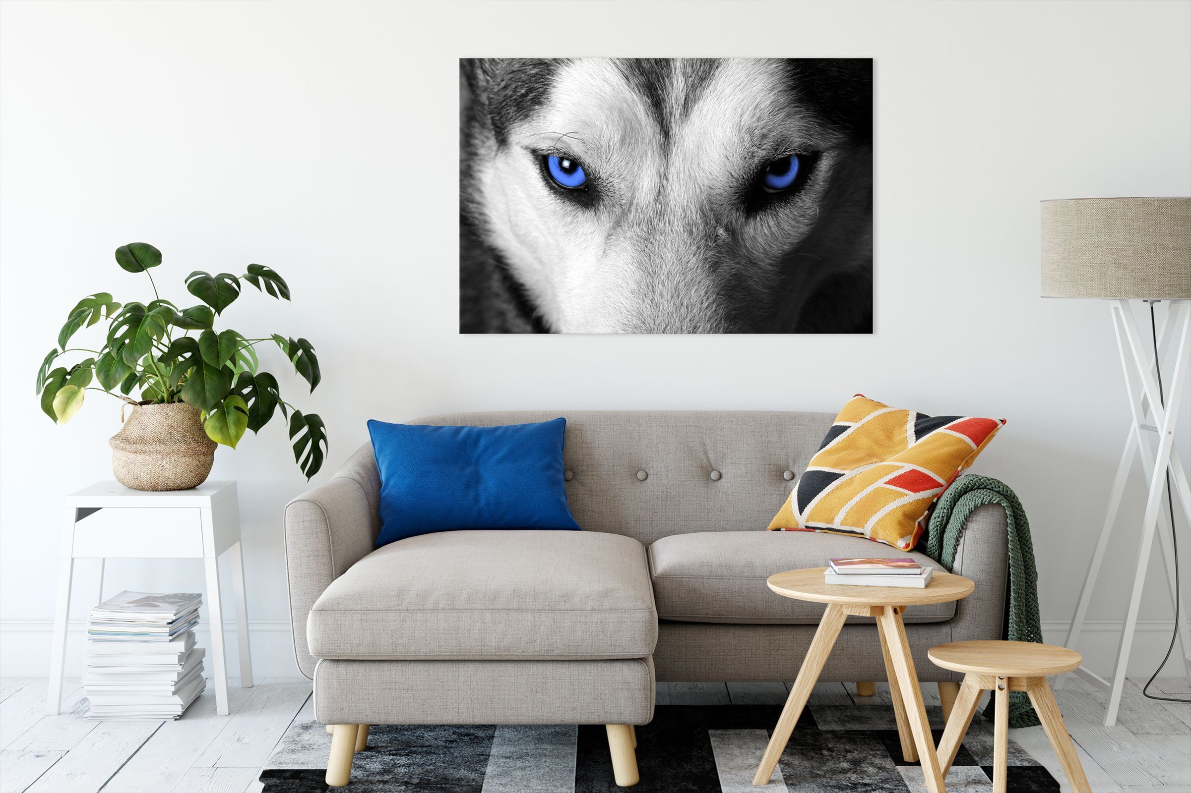 St), Leinwandbild Pixxprint Husky (1 Zackenaufhänger fertig Leinwandbild mit inkl. bespannt, Augen, Augen mit Husky