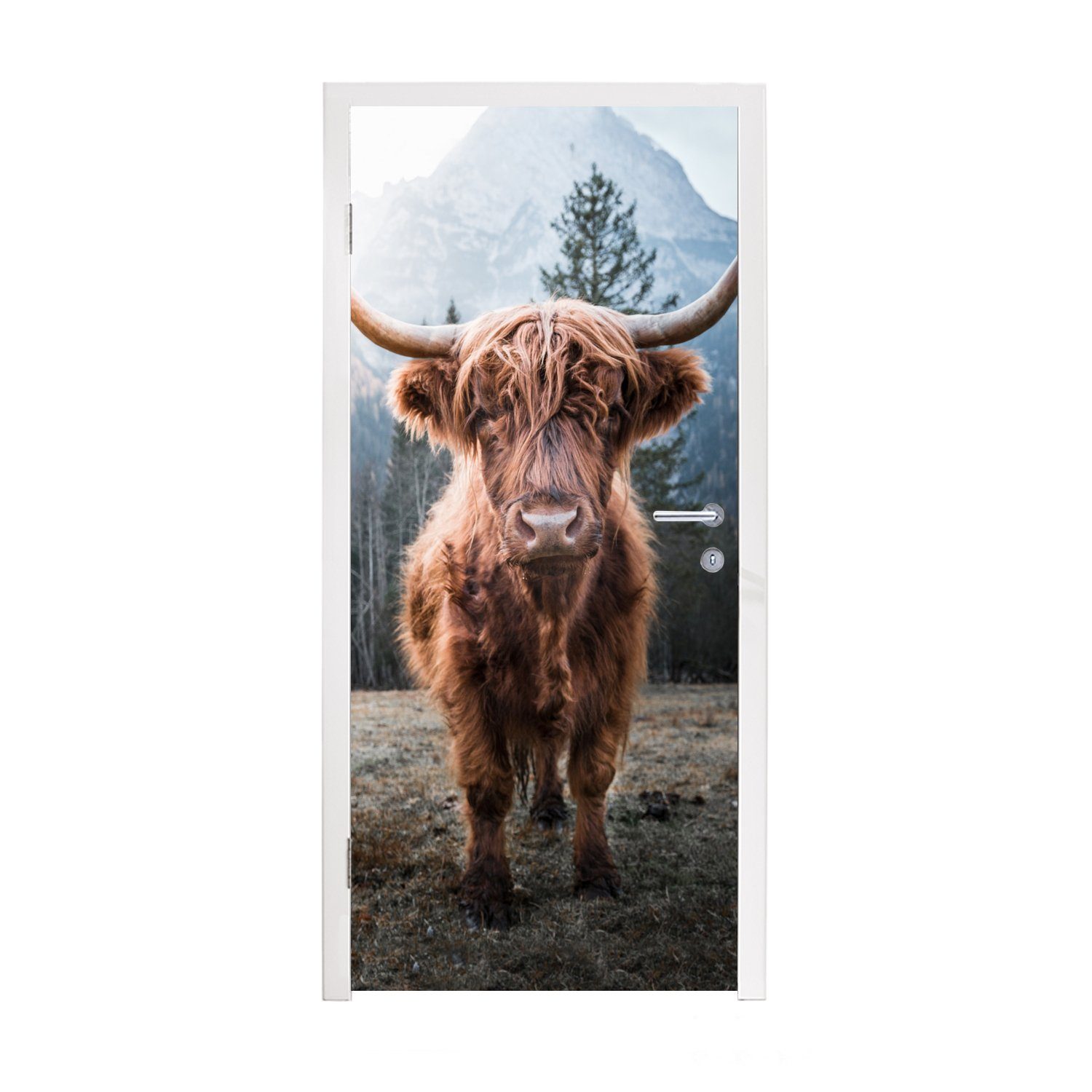 MuchoWow Türtapete Schottischer Highlander - Berg - Tier, Matt, bedruckt, (1 St), Fototapete für Tür, Türaufkleber, 75x205 cm