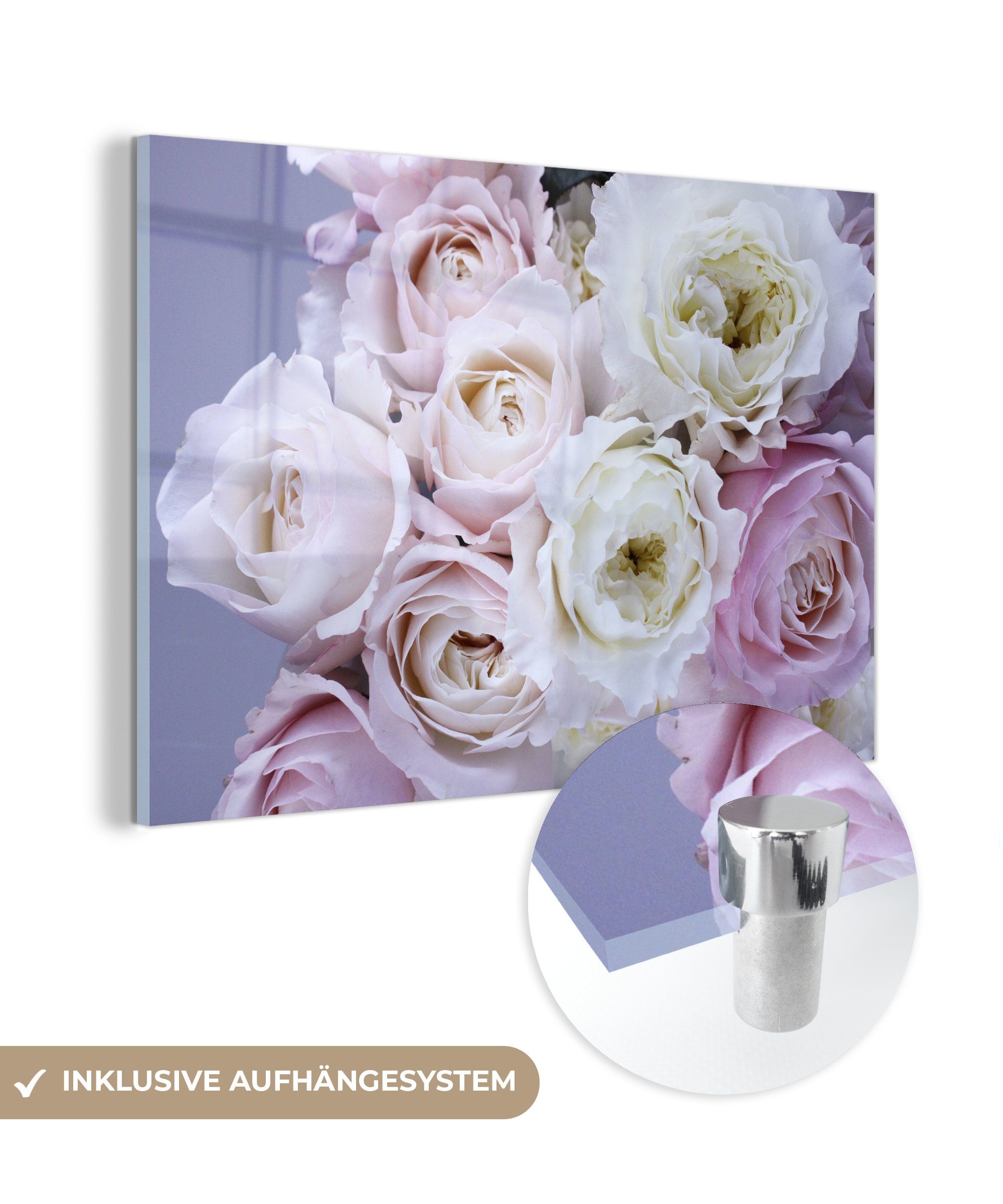 MuchoWow Acrylglasbild Rosen - Blumen - Lila, (1 St), Acrylglasbilder Wohnzimmer & Schlafzimmer
