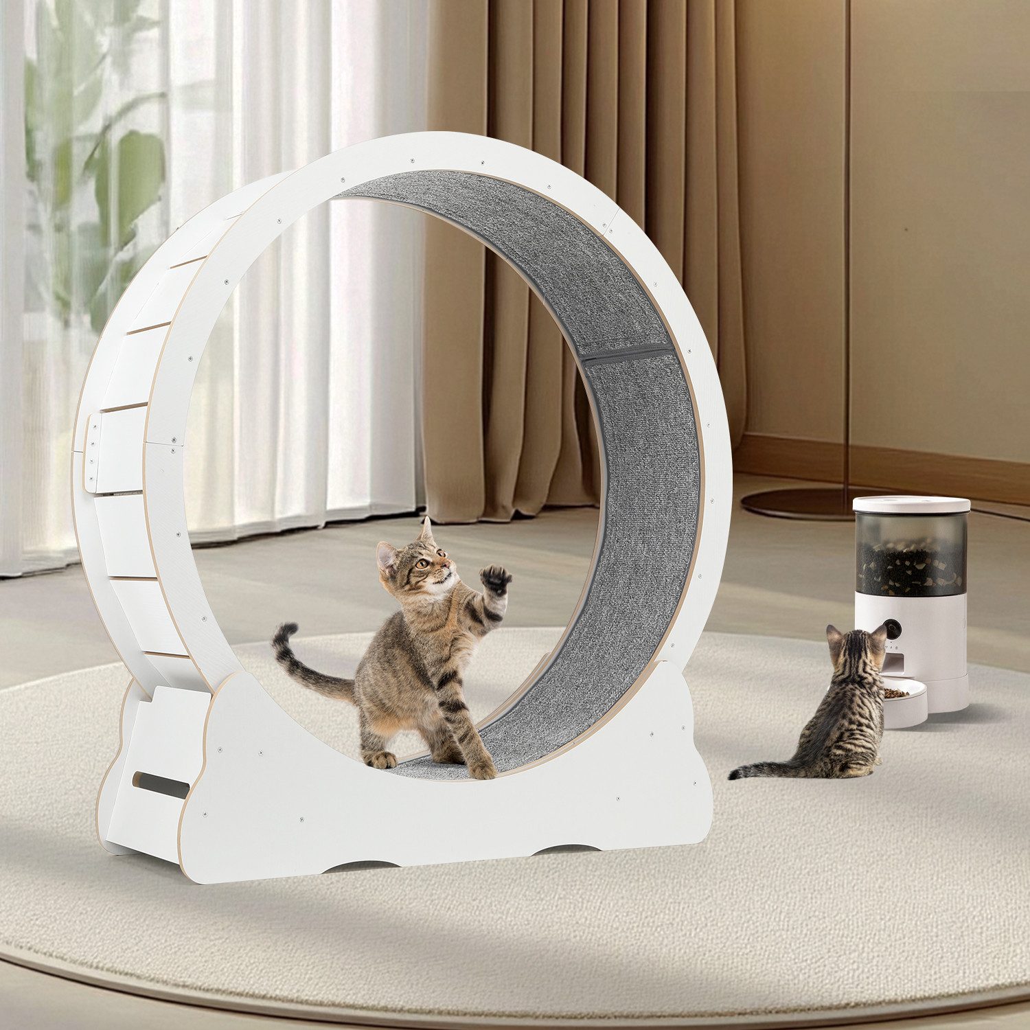 oyajia Tier-Intelligenzspielzeug Katzenlaufrad, MDF, MDF, Innendurchmesser günstig online kaufen