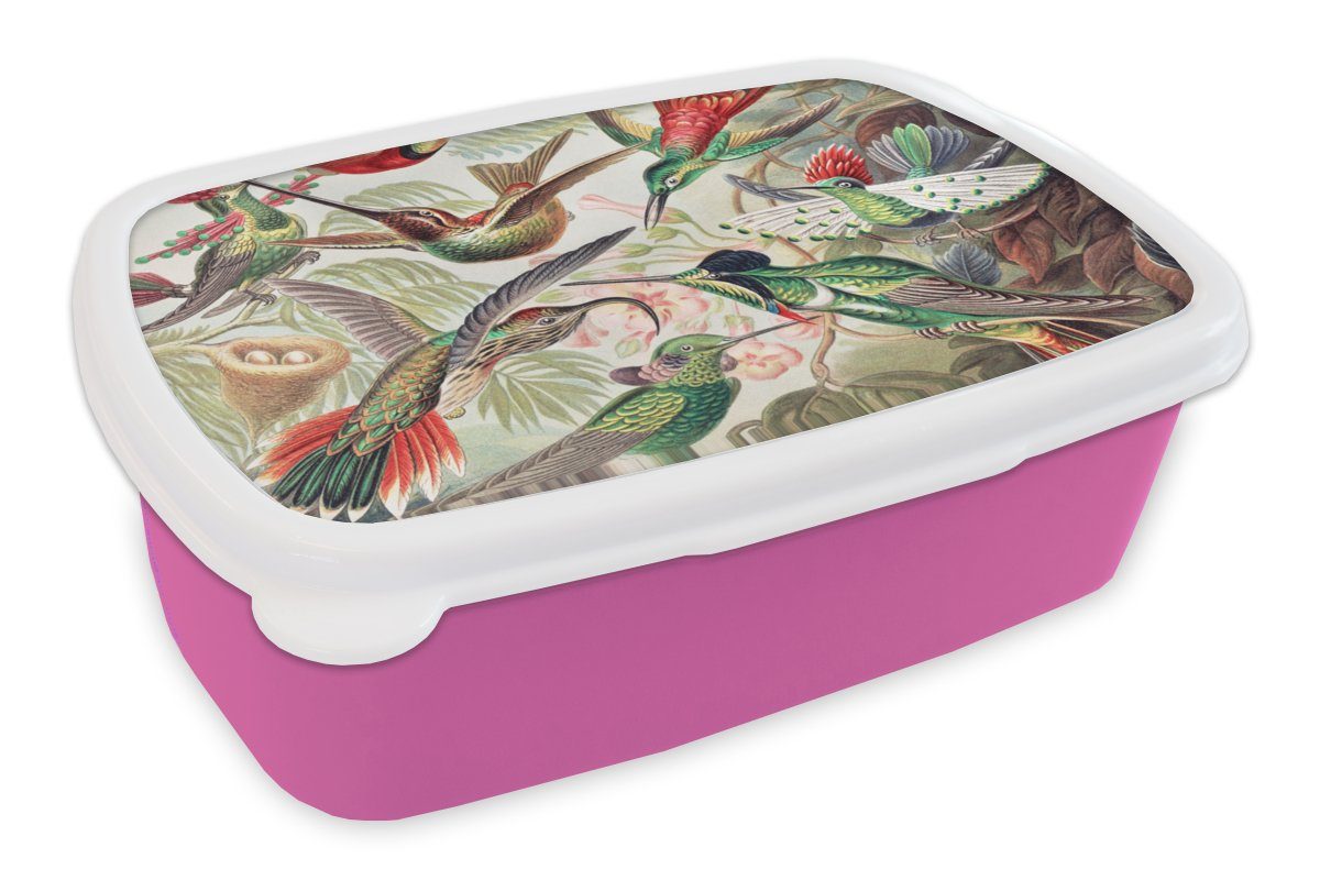 MuchoWow Lunchbox Kolibri - Vintage - Ernst Haeckel - Vogel - Kunst - Natur, Kunststoff, (2-tlg), Brotbox für Erwachsene, Brotdose Kinder, Snackbox, Mädchen, Kunststoff rosa