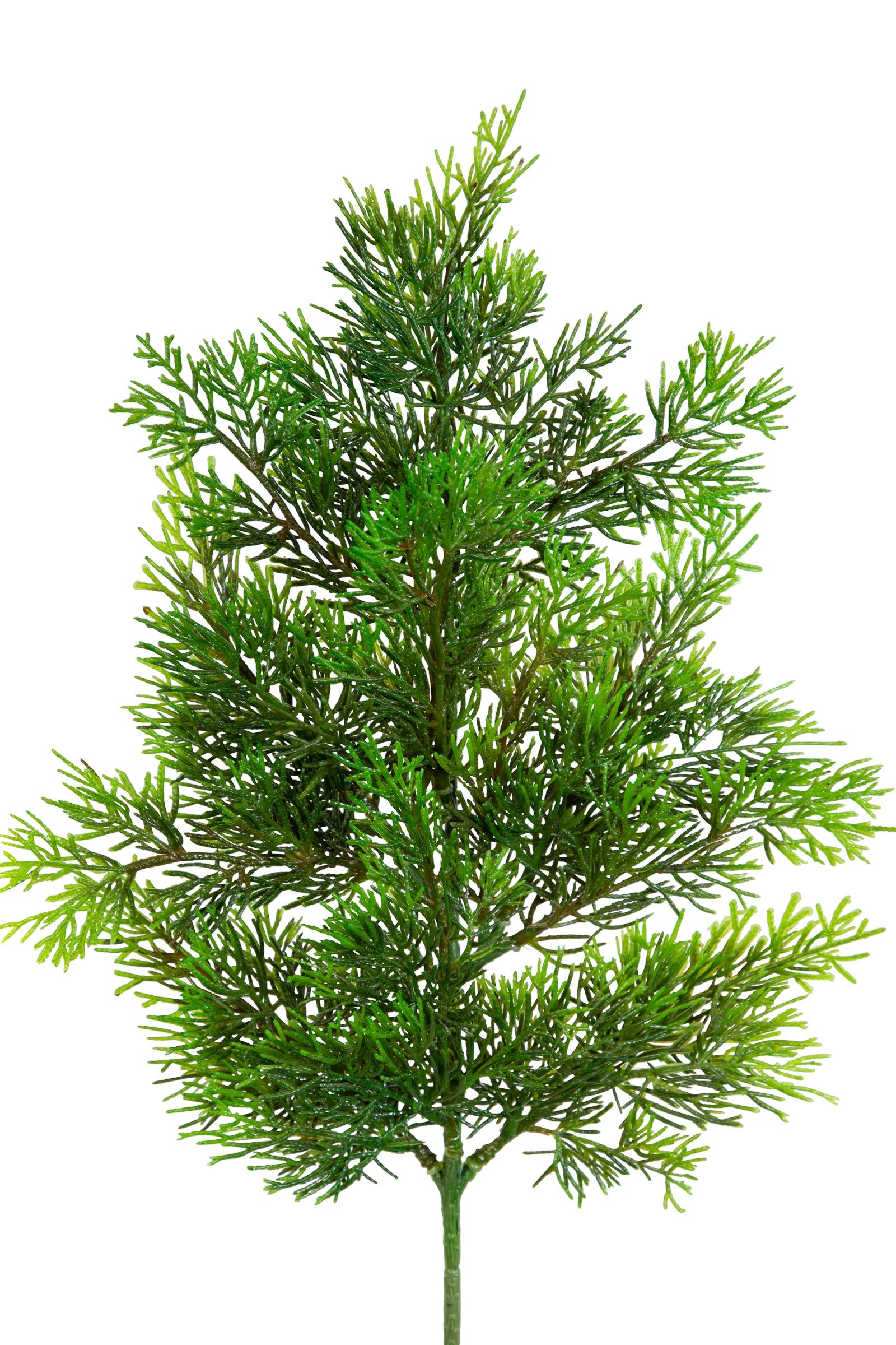 Kunstzweig Zedernzweig Nature ZJ Kunststoff 100% PE Spritzguss künstliche Z günstig online kaufen