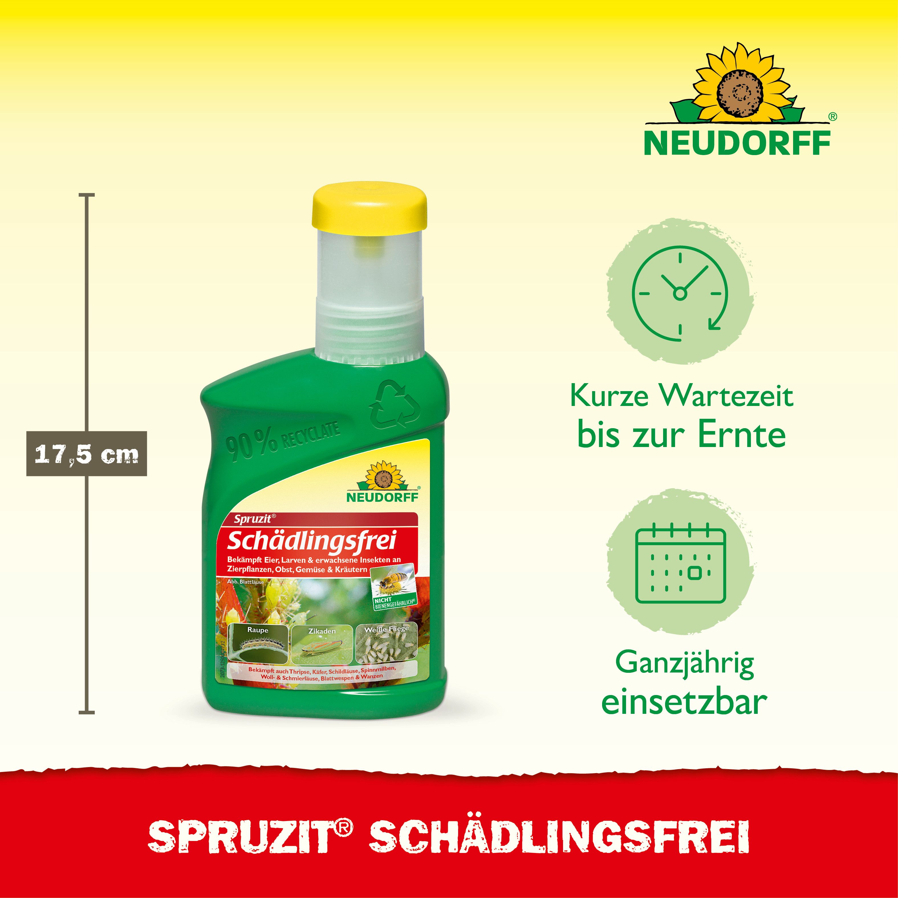 Neudorff Insektenspray Spruzit Schädlingsfrei 250 ml Konzentrat, 250 ml, Für Zierpflanzen, Gemüse & Kirschen in Haus und Garten, Konzentrat gegen zahlreiche Sch – Bild 3 von 5