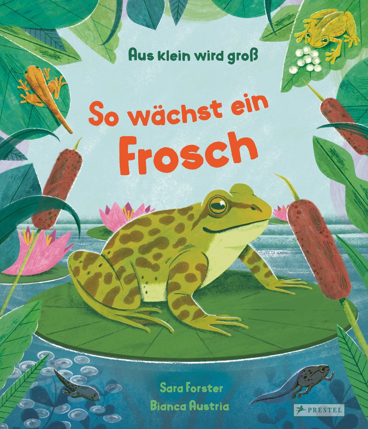 Kinderbuch Aus klein wird groß. So wächst ein Frosch Ein farbenfrohes Sachbilderb Sara Forster, Bianca Austria