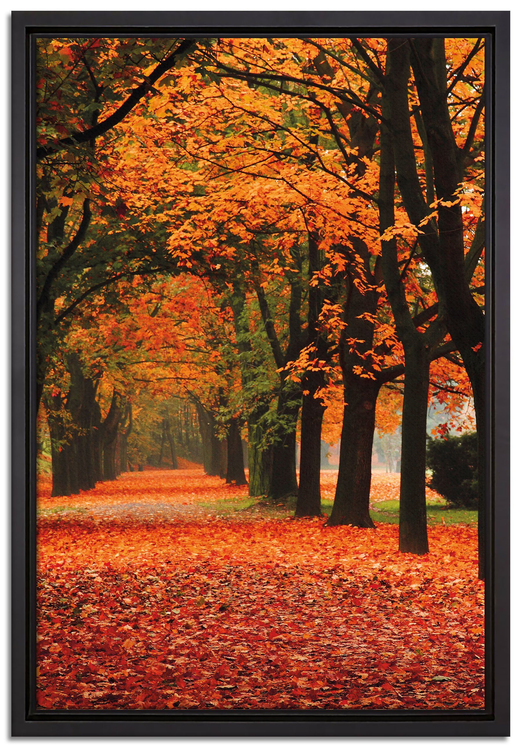 Herbst, Leinwandbild fertig einem bespannt, Pixxprint Schattenfugen-Bilderrahmen in Wanddekoration Baumallee (1 Zackenaufhänger im St), Leinwandbild inkl. gefasst,