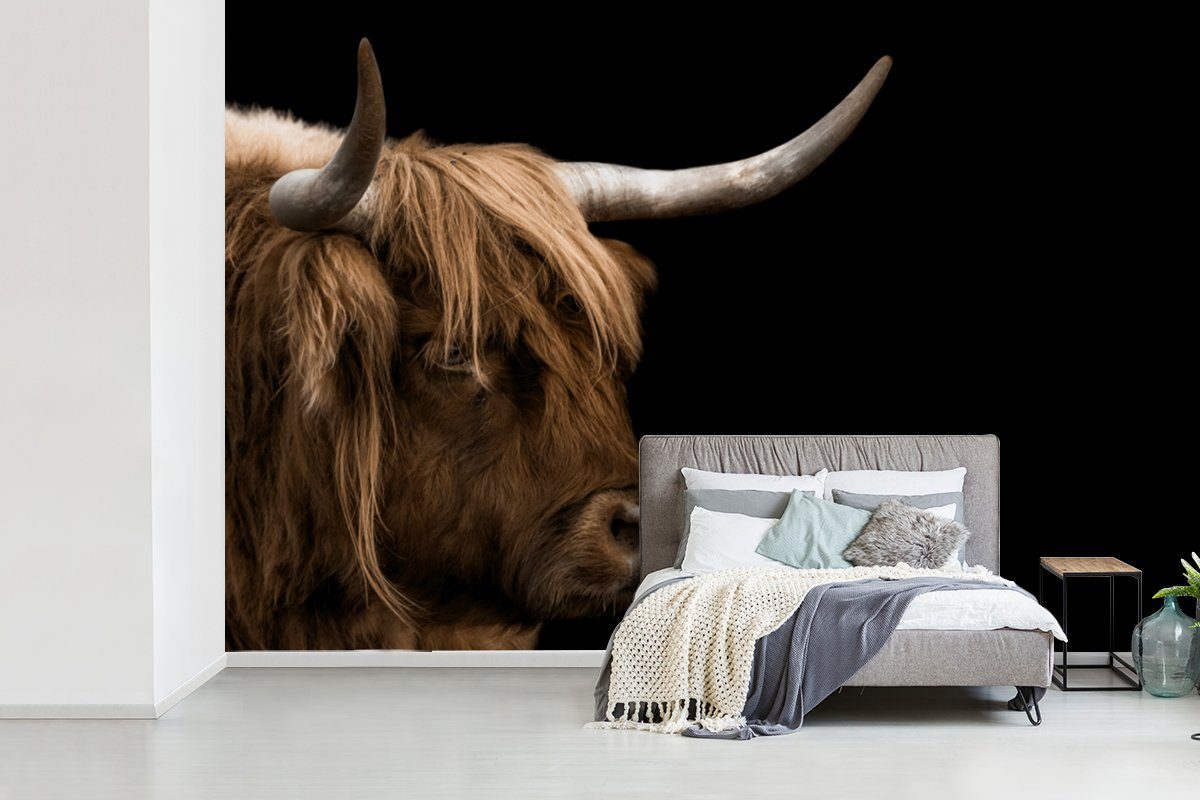 Fototapete - Kuh, Wallpaper Highlander Tiere bedruckt, für Tapete MuchoWow (6 Wohnzimmer, Schlafzimmer, Matt, Vinyl Schottischer - Kinderzimmer, St),