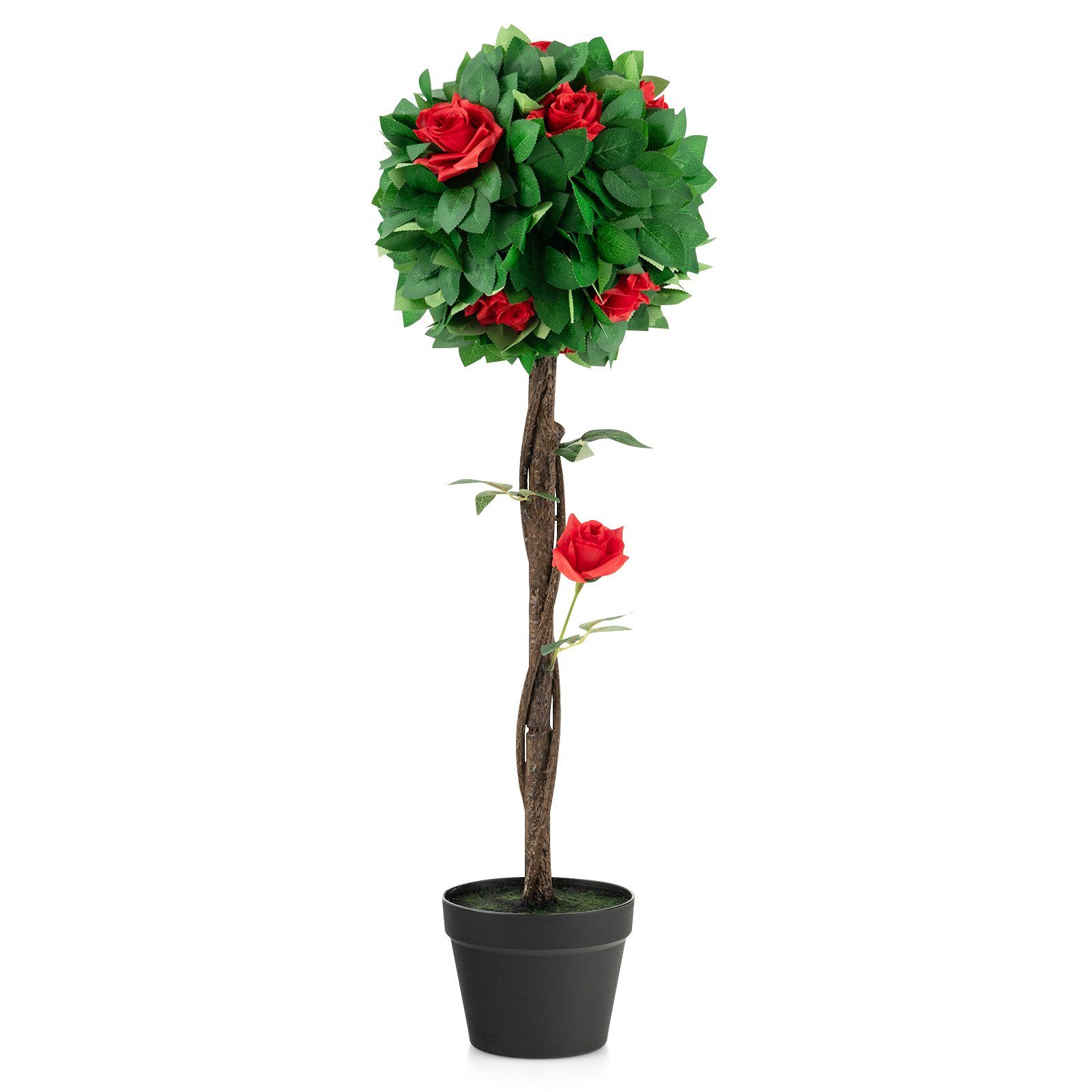 Weihnachtsblumen Rote kaufen | online OTTO