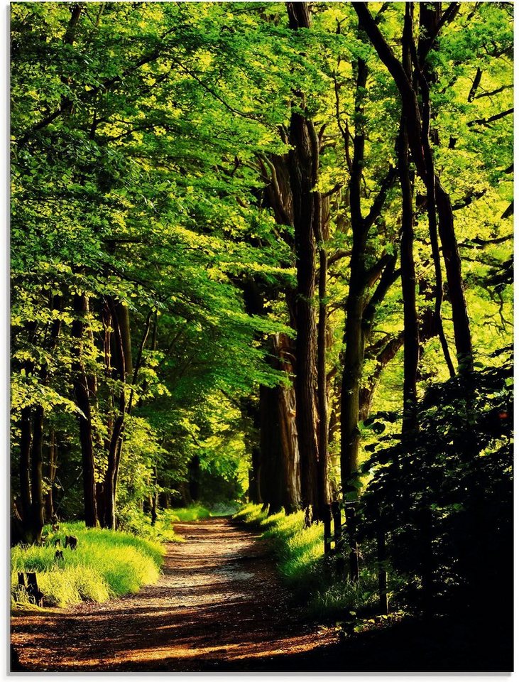 Artland Glasbild Weg im Wald, Wald (1 St), in verschiedenen Größen