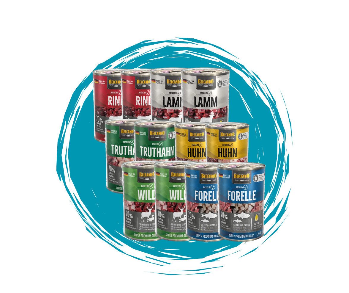 Belcando Baseline Mixpaket - hochwertiges Nassfutter mit 6 verschiedenen Sorten 2x6x400g, Nassfutter für: Hunde