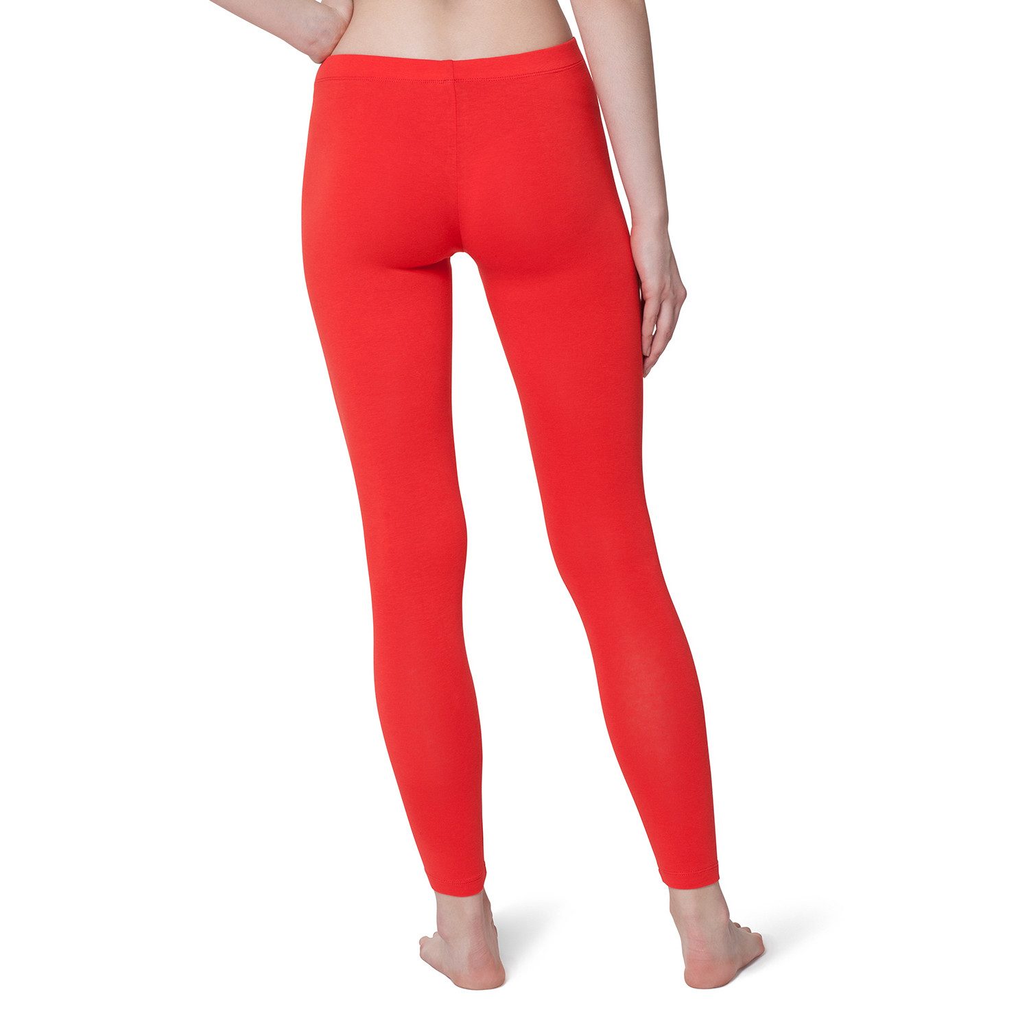 celodoro Leggings Damen Leggings, stretchige Jersey Hose aus Baumwolle günstig online kaufen