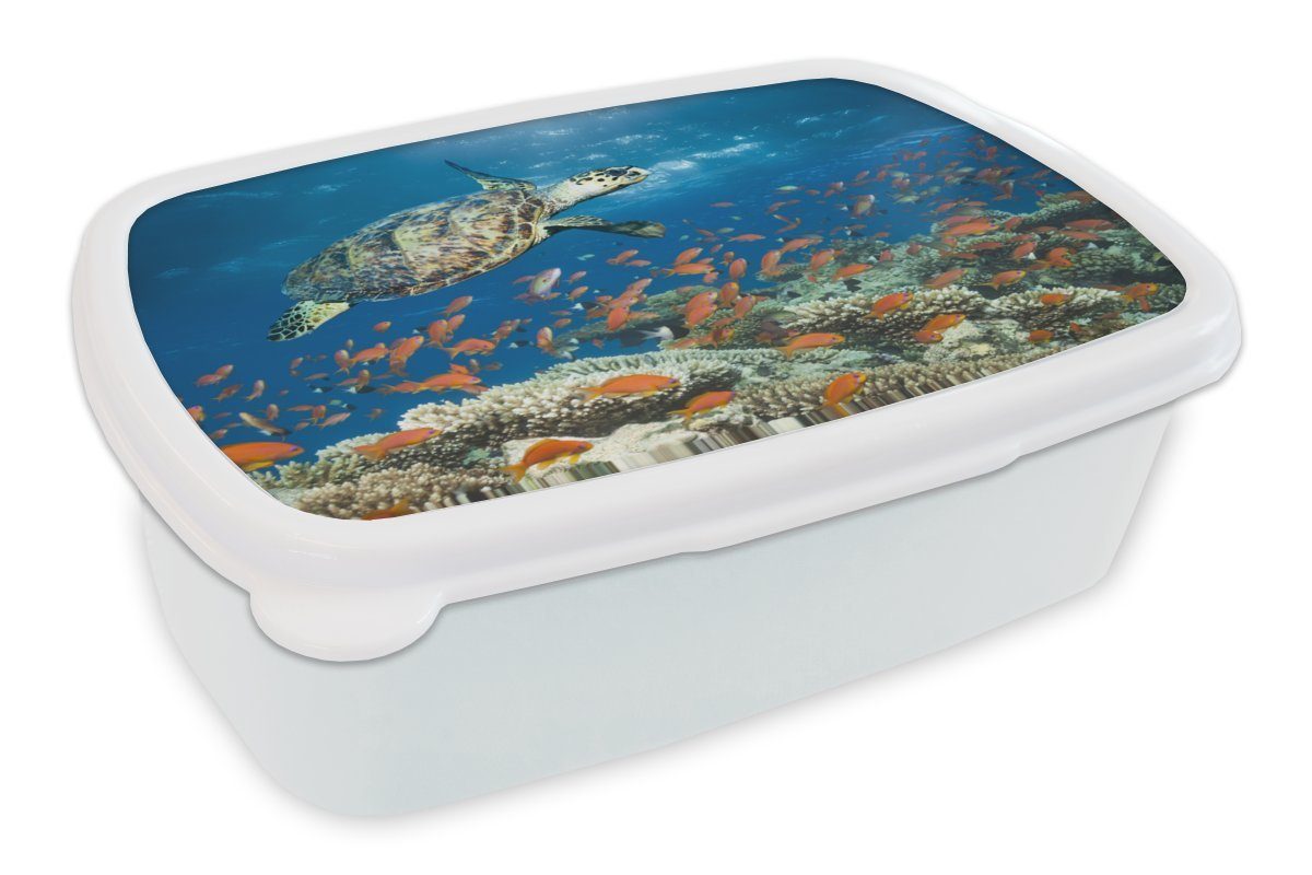 MuchoWow Lunchbox Korallenriff mit Schildkröte, Brotdose, für und Brotbox Kunststoff, Kinder Jungs Erwachsene, Mädchen und (2-tlg), weiß für