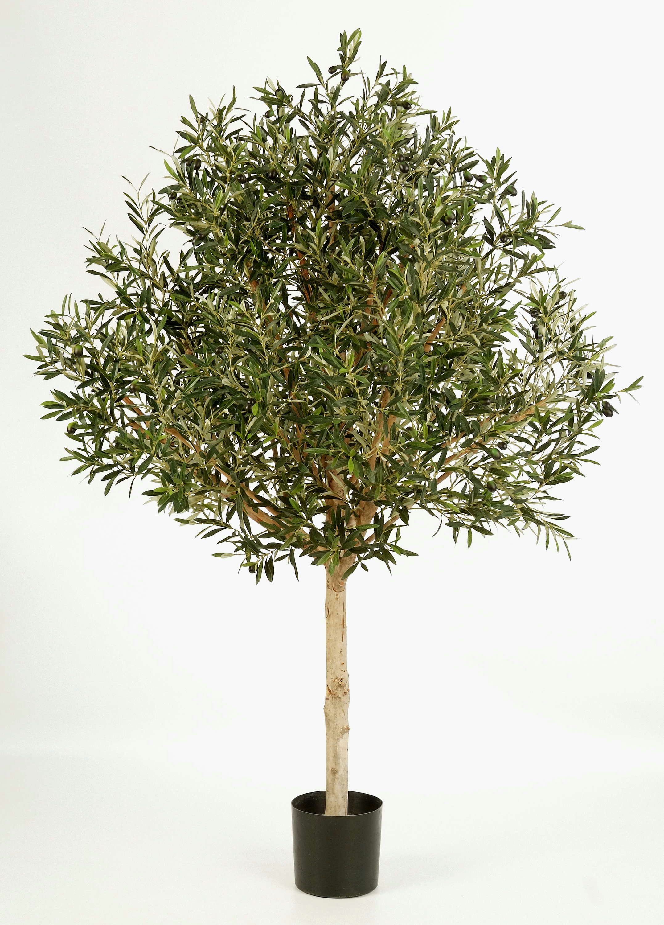 Kunstbaum Künstlicher Olivenbaum Hochstamm, 4784 Blätter, 150cm Olivenbaum, artplants, Höhe 150.0 cm
