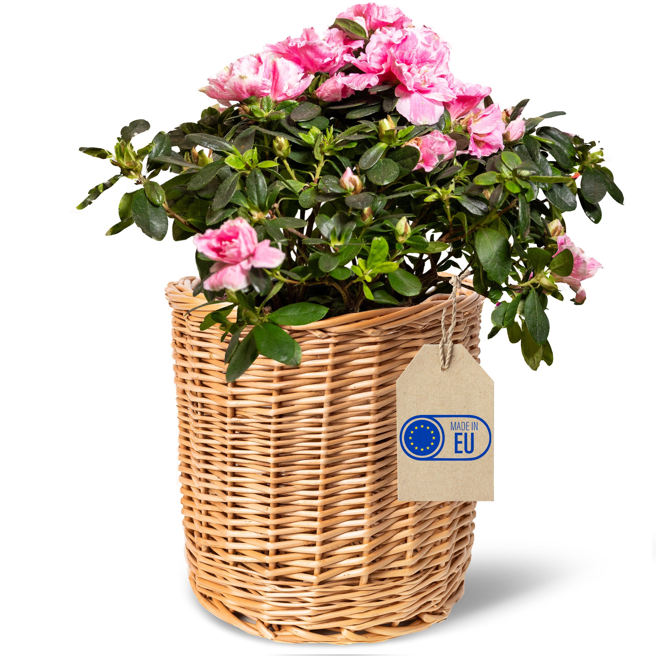 Creative Home Blumentopf Pflanzkasten Weidenblumentopf, Blumenkasten ähnlich wie Rattan, Weidenkorb für Topfblumen