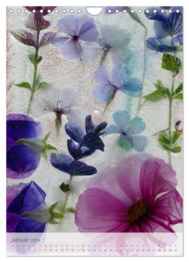 CALVENDO Wandkalender Blumen in Eis (Wandkalender 2024 DIN A4 hoch), CALVENDO Monatskalender