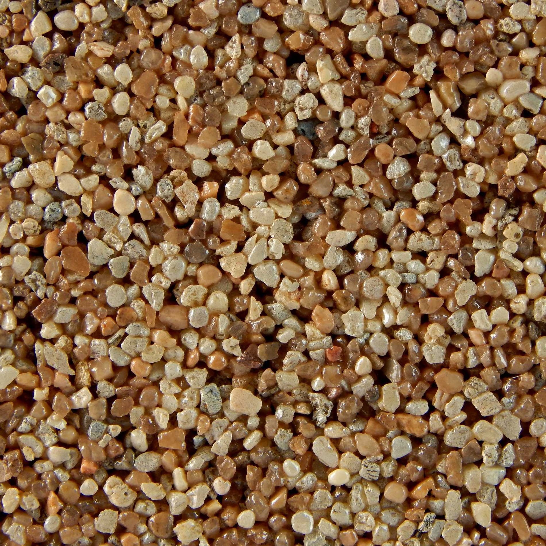 Terralith® Kunstharzputz Buntsteinputz Mosaikputz 2mm -14 kg- BSP59 (Eimer, Verarbeitungsfertig) Dekorationsputz aus Marmor-Granulat bzw. eingefärbter Körnung
