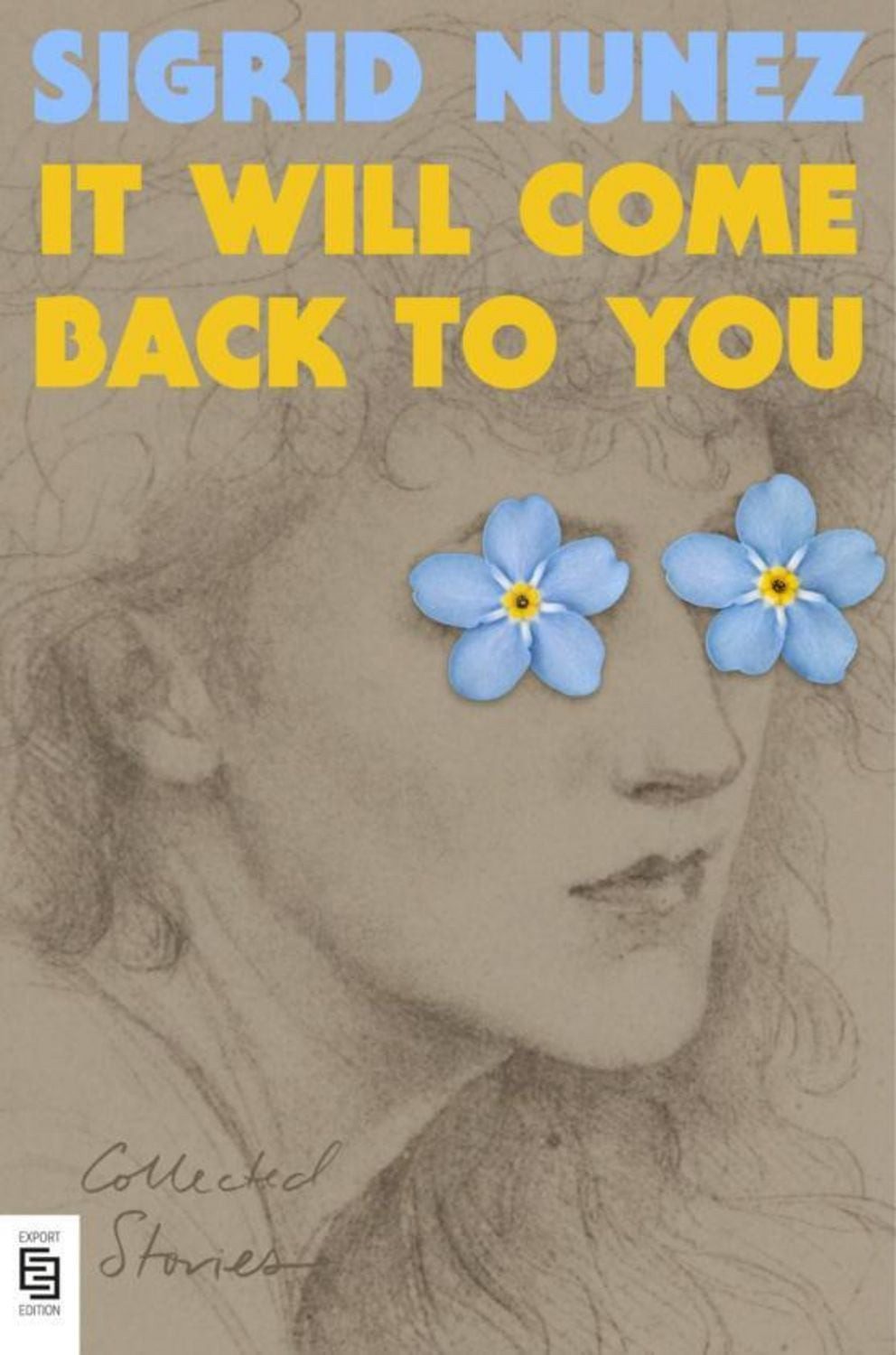 It Will Come Back to You / Sigrid Nunez