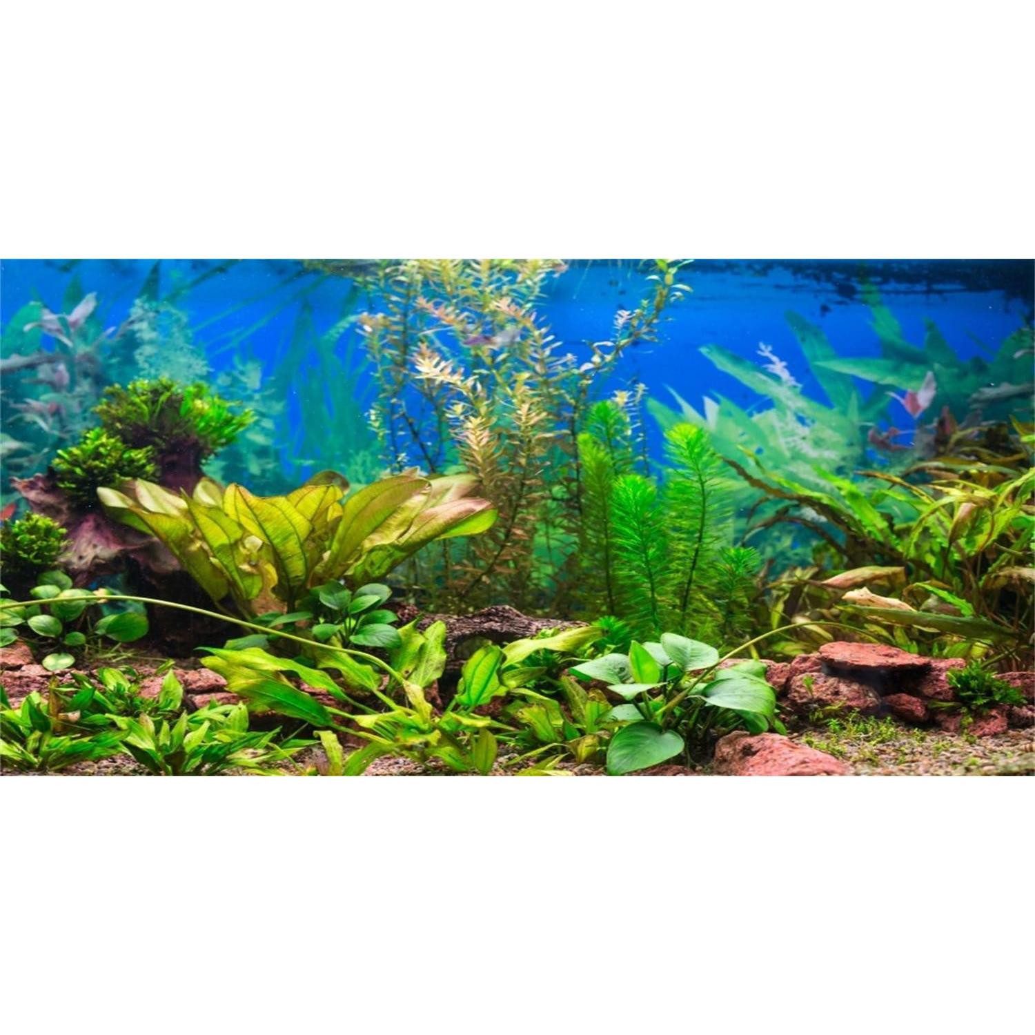 LuxusKollektion Aquarium Aquarium Hintergrund Wasserpflanze Flussbett See 91x50cm 3
