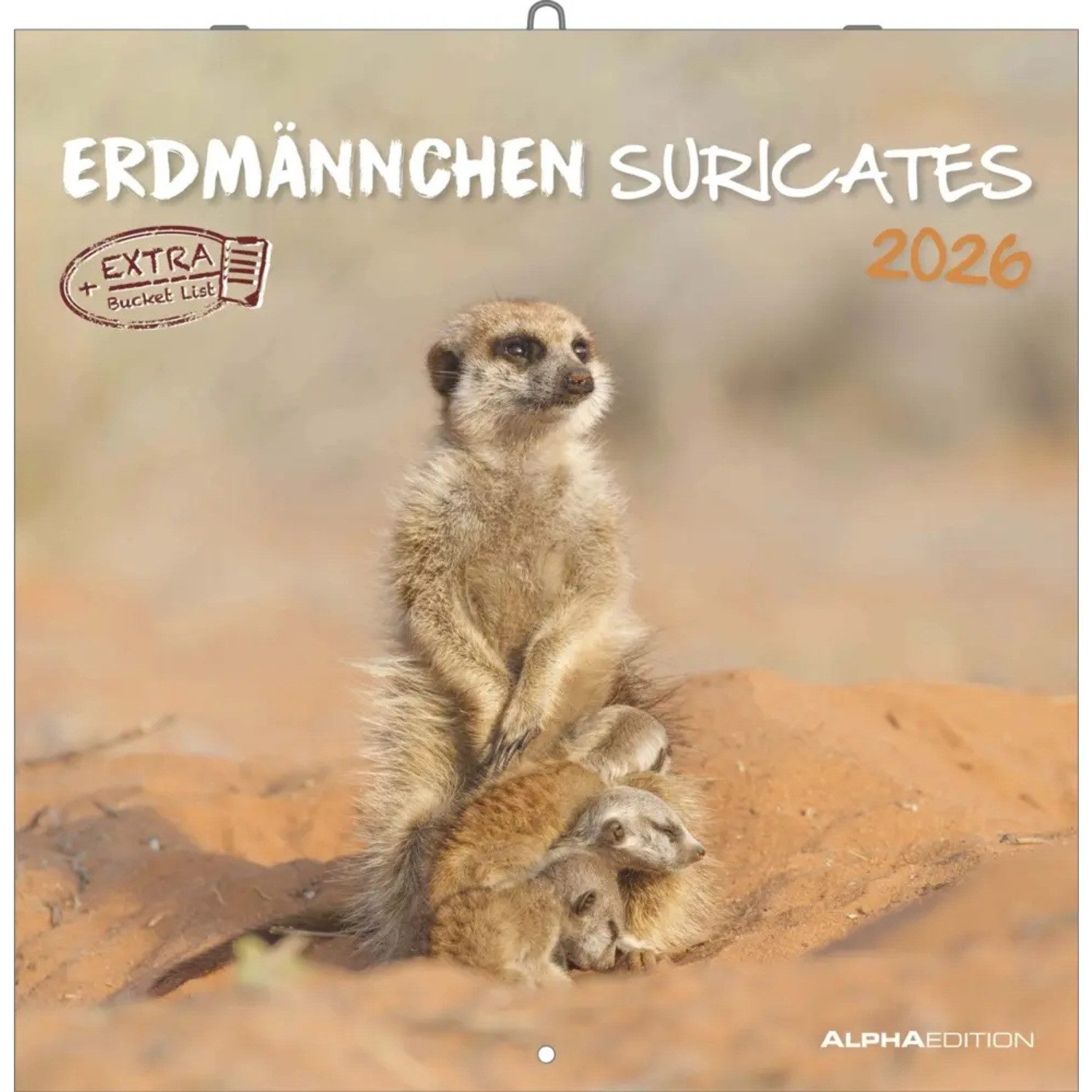 Alpha Edition Wandkalender Alpha Edition - Erdmännchen Kalender 2026 - Wandkalender 30x30 cm -...