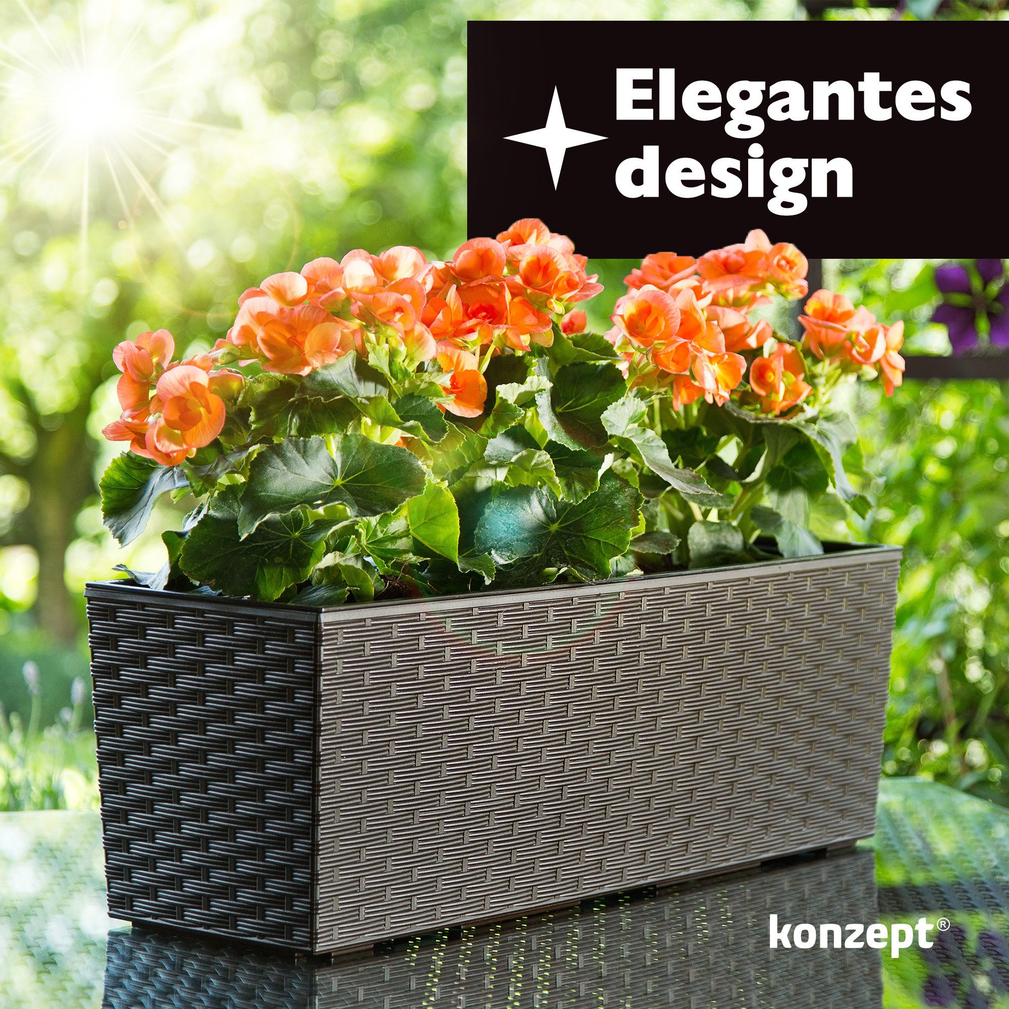 KONZEPT Balkonkasten Hochwertige Blumenkasten Rattan-Optikin, rechteckig günstig online kaufen