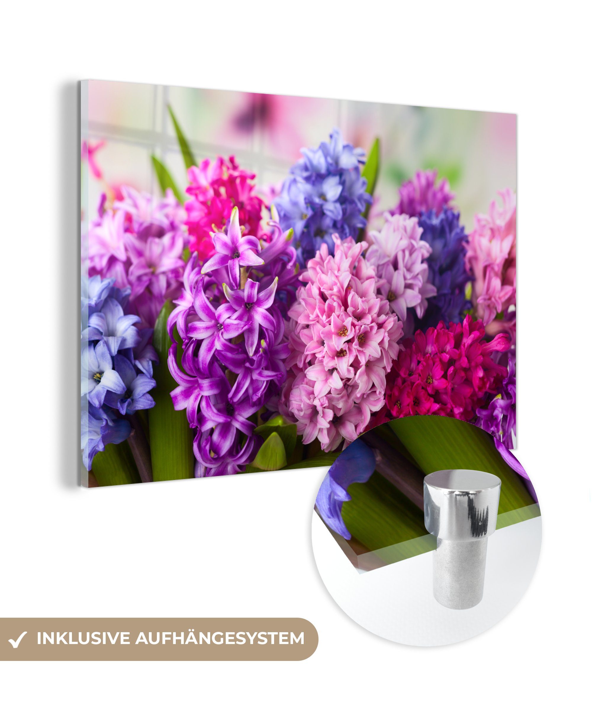 MuchoWow Acrylglasbild Hyazinthe - Blumen - Pflanzen, (1 St), Acrylglasbilder Wohnzimmer & Schlafzimmer