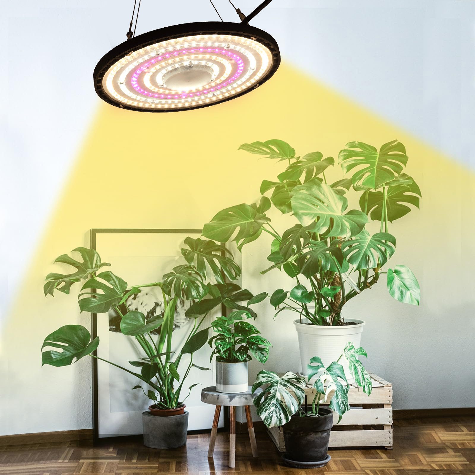 Jibenhome Pflanzenlampe 70W/100W/150W LED Pflanzenlampe Vollspektrum, UFO W günstig online kaufen