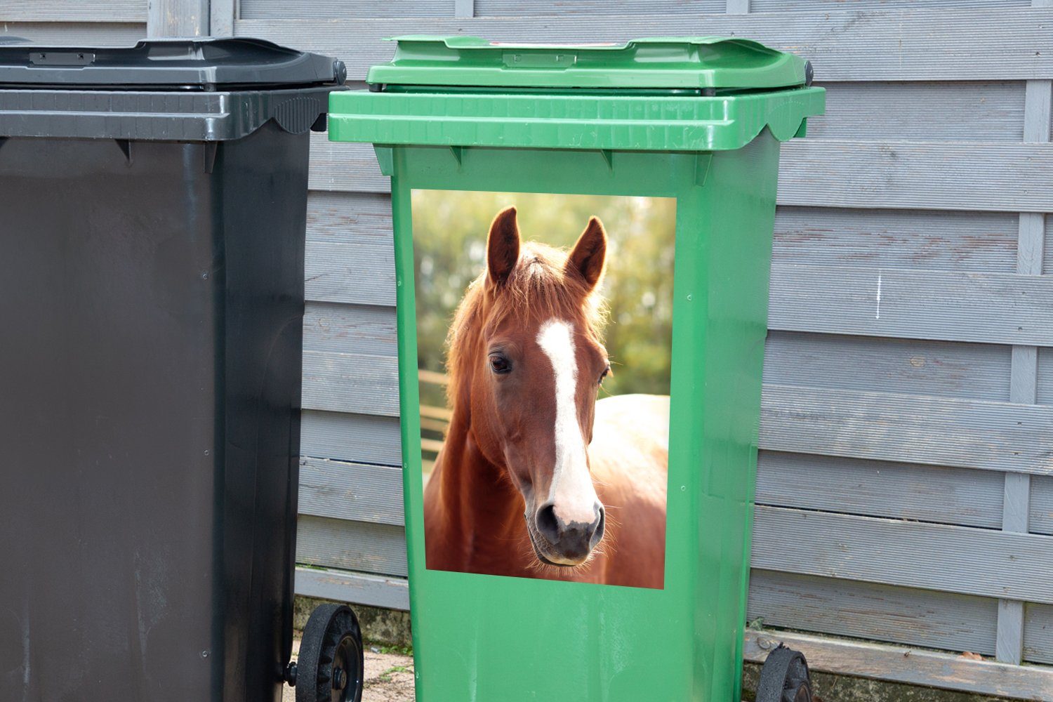 MuchoWow Wandsticker - Abfalbehälter Sticker, - (1 Kontur Pferd Tier Mülltonne, Container, St), Mülleimer-aufkleber
