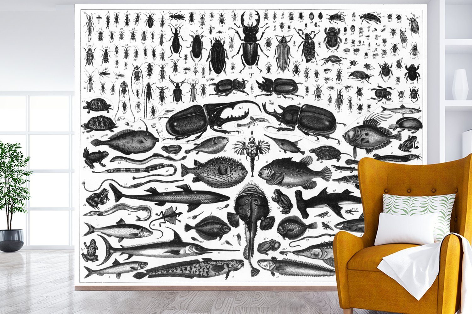 Wohnzimmer, Fischarten, für Matt, St), vielen Tapete Fototapete Vinyl von Wandtapete (5 Schwarz-Weiß-Abbildung Montagefertig MuchoWow bedruckt,
