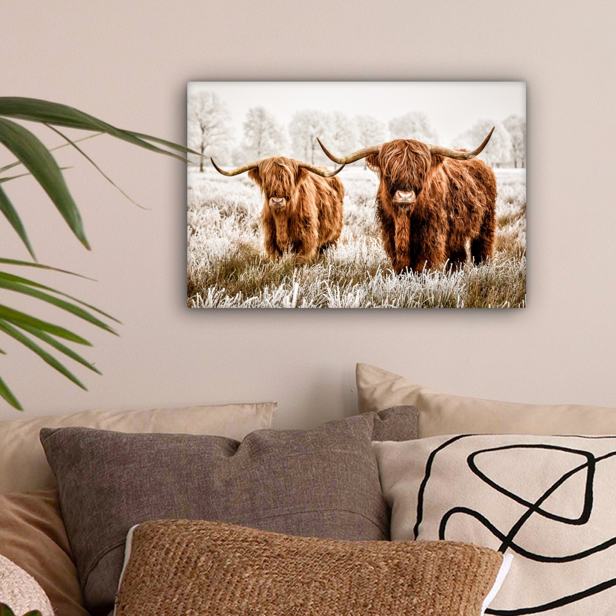OneMillionCanvasses® Leinwandbild Schottischer Hochländer - Kuh - Natur - W günstig online kaufen