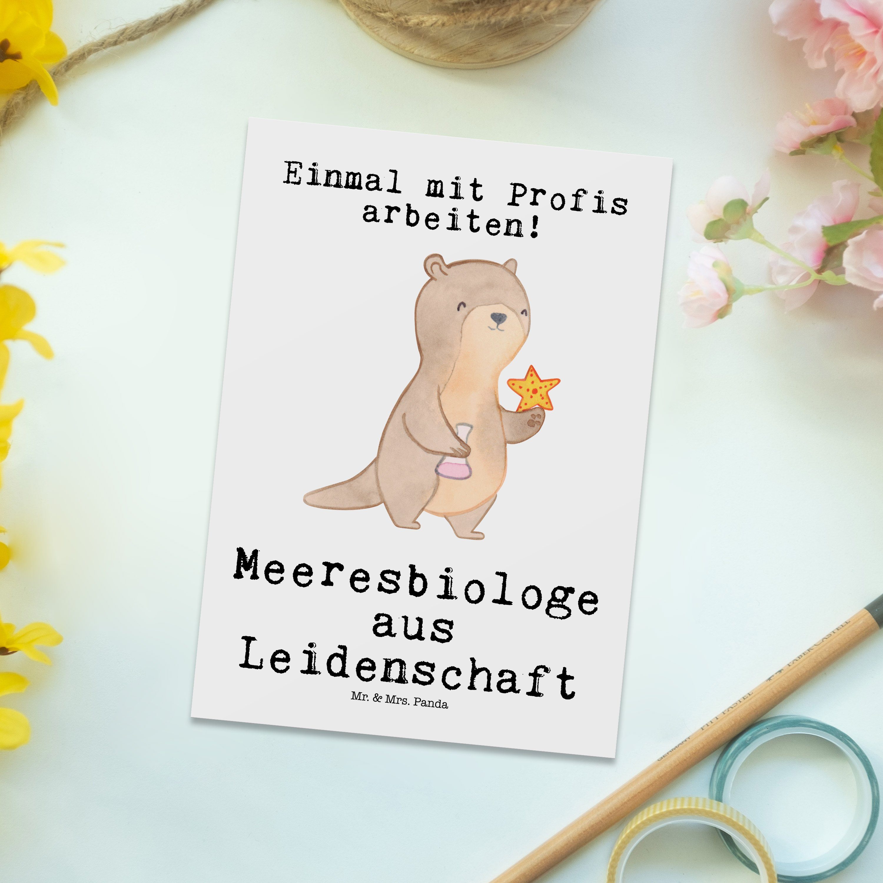 Meeresbiologe Postkarte aus Geschen - Geschenk, - Panda Ausbildung, Mr. & Leidenschaft Weiß Mrs.