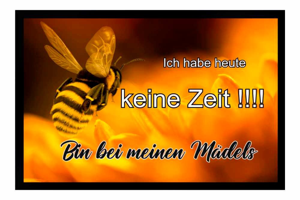 Fußmatte Schmutzfangmatte Imker Biene Honig F134