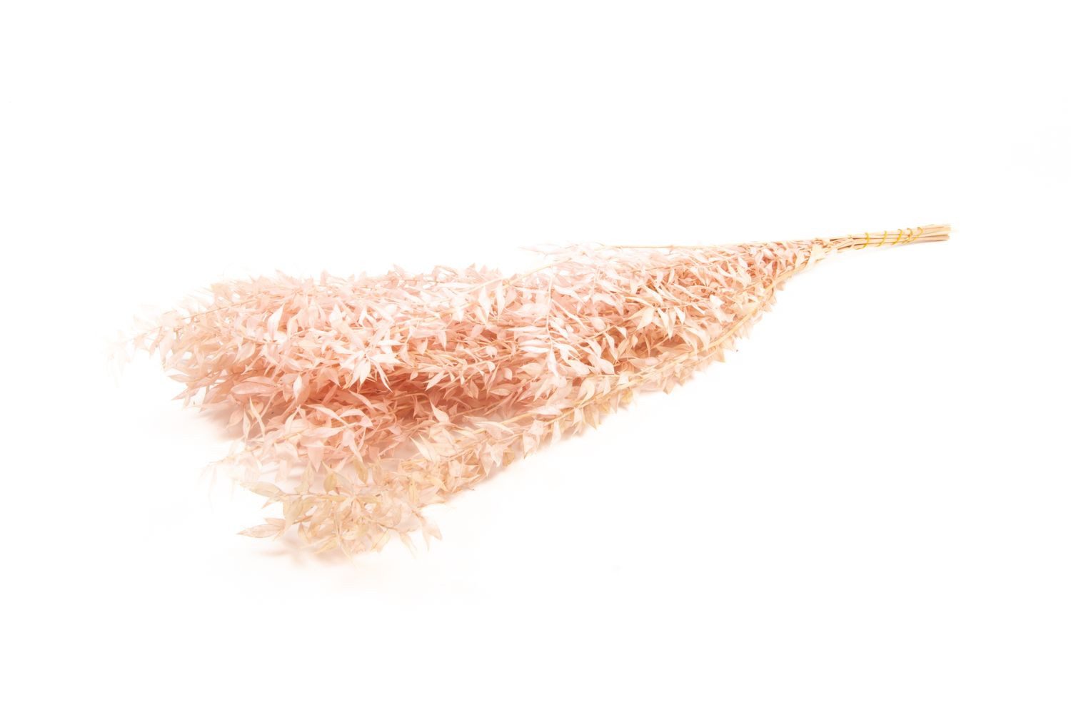 Trockenblume Ruscus Trockenzweige AGNIATA, Hellrosa, 70-75cm, Ø17cm, INNA-Glas, Höhe 75.0 cm