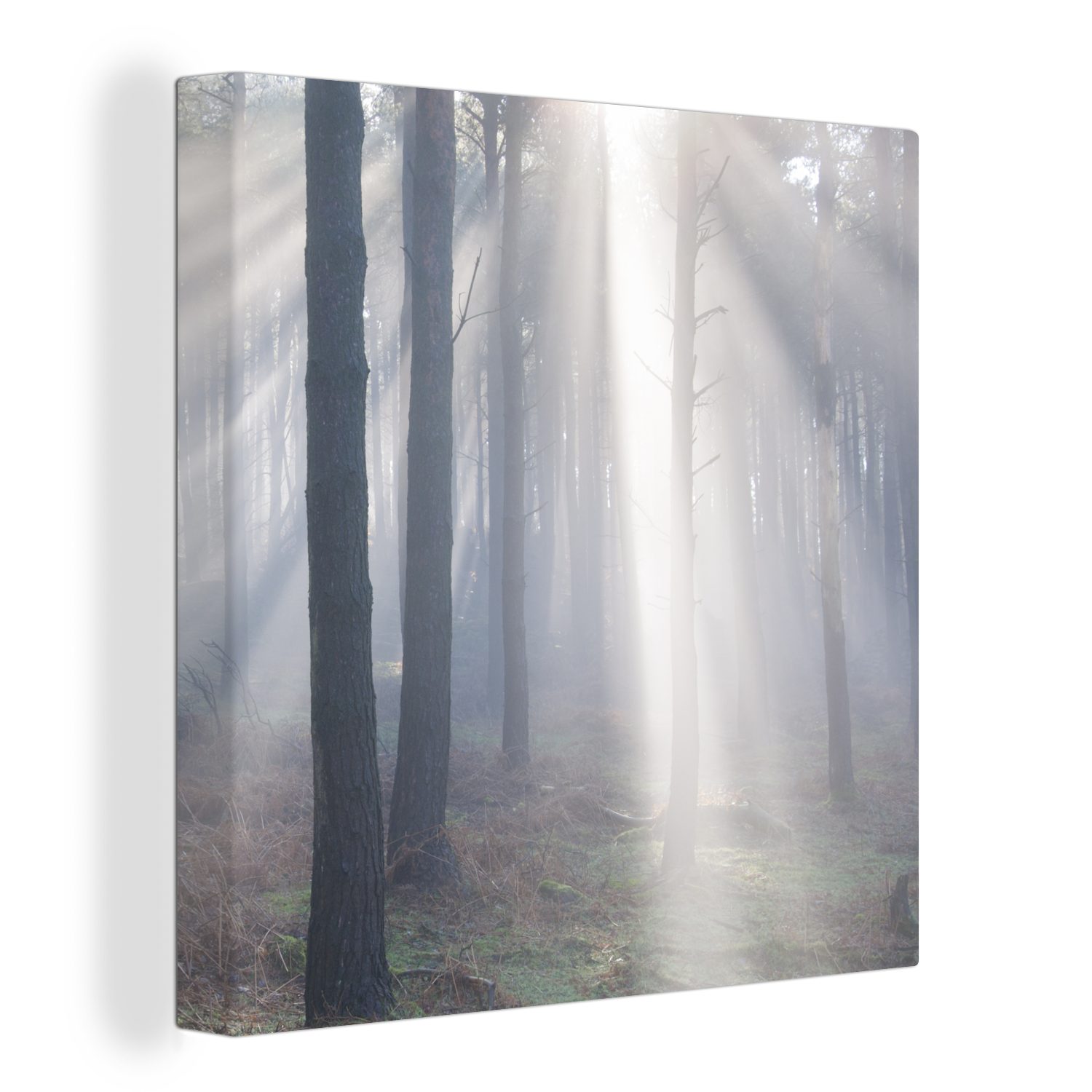 OneMillionCanvasses® Leinwandbild Sonnenstrahlen leuchten in einem Wald, (1 St), Leinwand Bilder für Wohnzimmer Schlafzimmer | Leinwandbilder