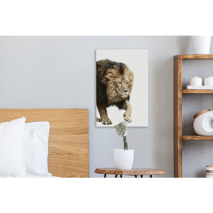 OneMillionCanvasses® Leinwandbild Profil - Löwe - Weiß (1 St) Leinwandbild fertig bespannt inkl. Zackenaufhänger Gemälde