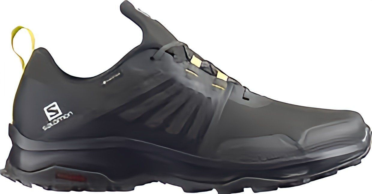 Salomon X-Render GTX Herren Outdoorschuhe - günstig online kaufen