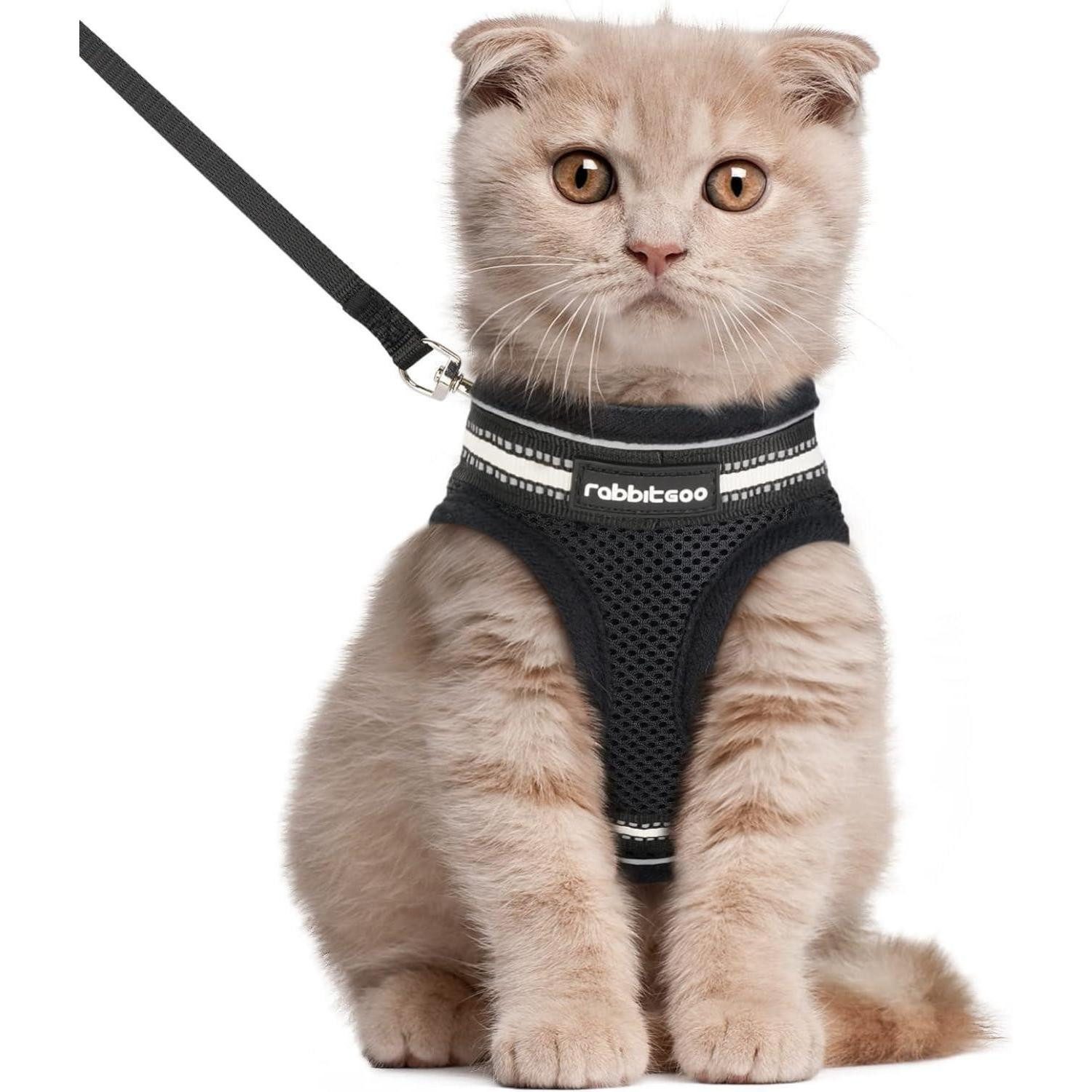 LuxusKollektion Katzen-Geschirr Katzengeschirr Katzenleine Ausbruchsicher L (1er Pack) Schwarz