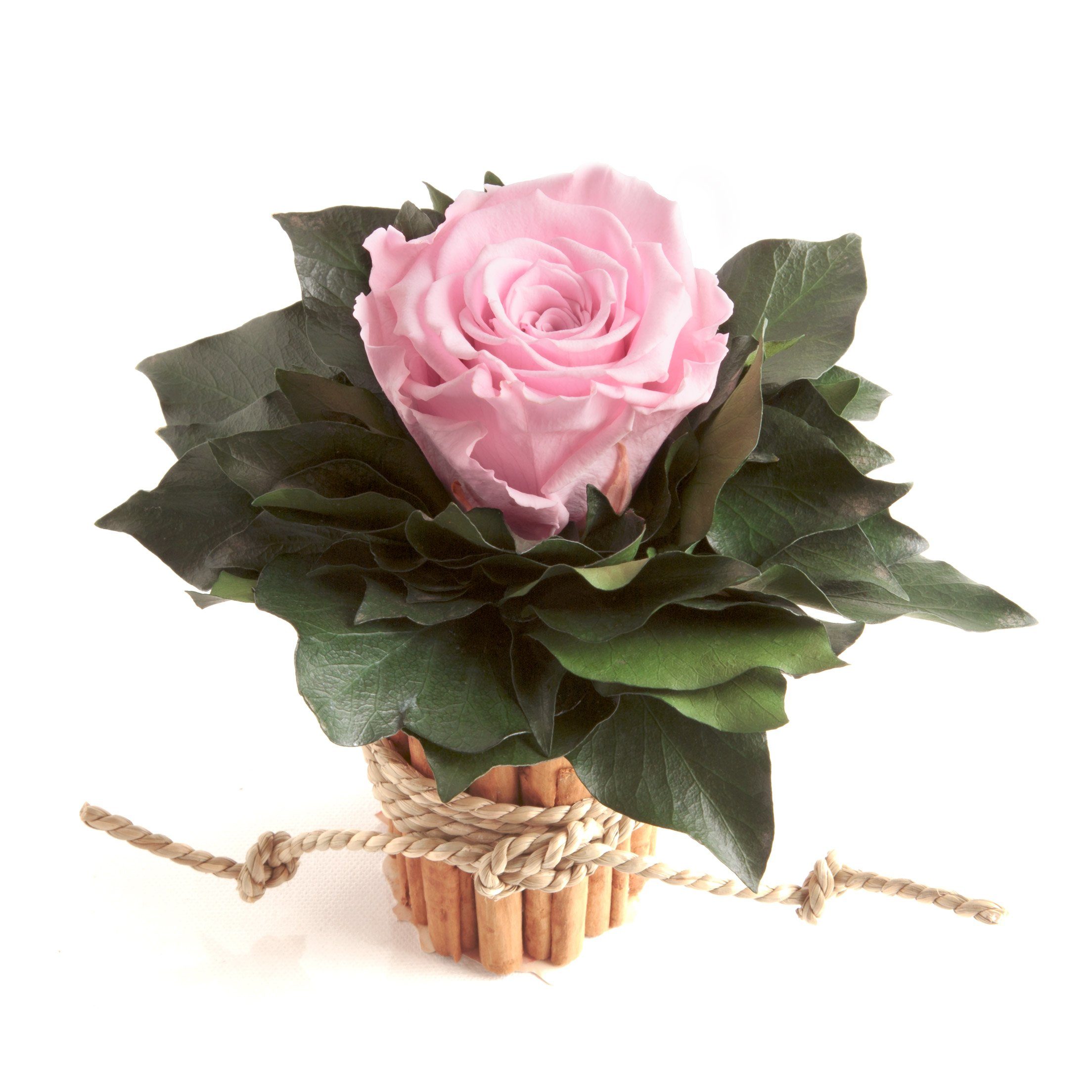 Kunstblumenstrauß Blumenstrauß Zimtbecher Infinity Rosen Blumengesteck, ROSEMARIE SCHULZ Heidelberg, Höhe 15 cm, Infinity Rosen, Made in Germany