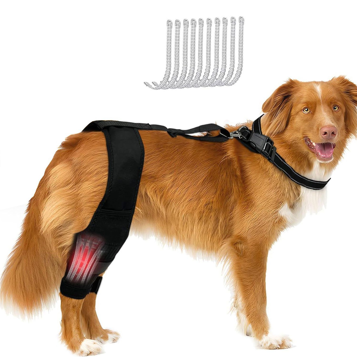 Refttenw Kniebandage Verstellbare Hunde-Kniestütze für alle Gliedmaßen mit Stützstreifen
