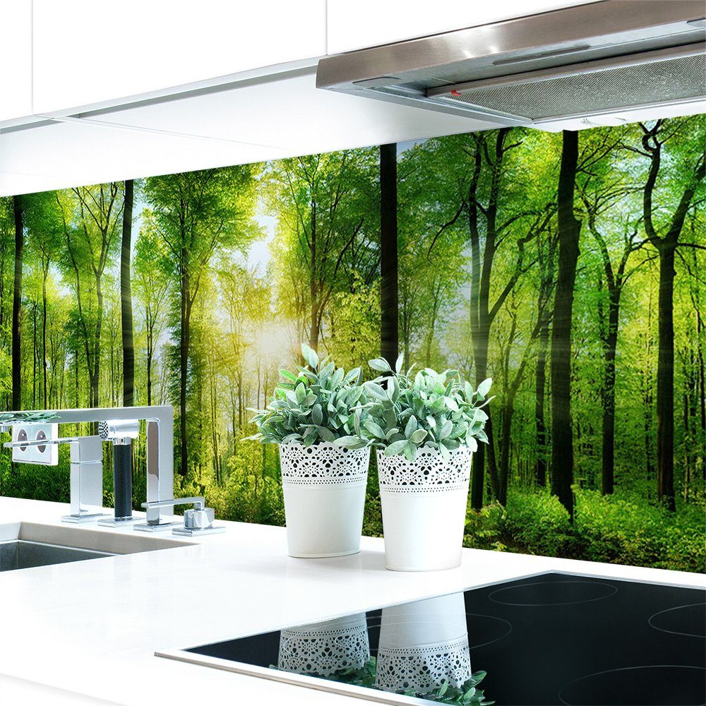 DRUCK-EXPERT Küchenrückwand Küchenrückwand Waldlichtung Premium Hart-PVC 0,4 mm selbstklebend