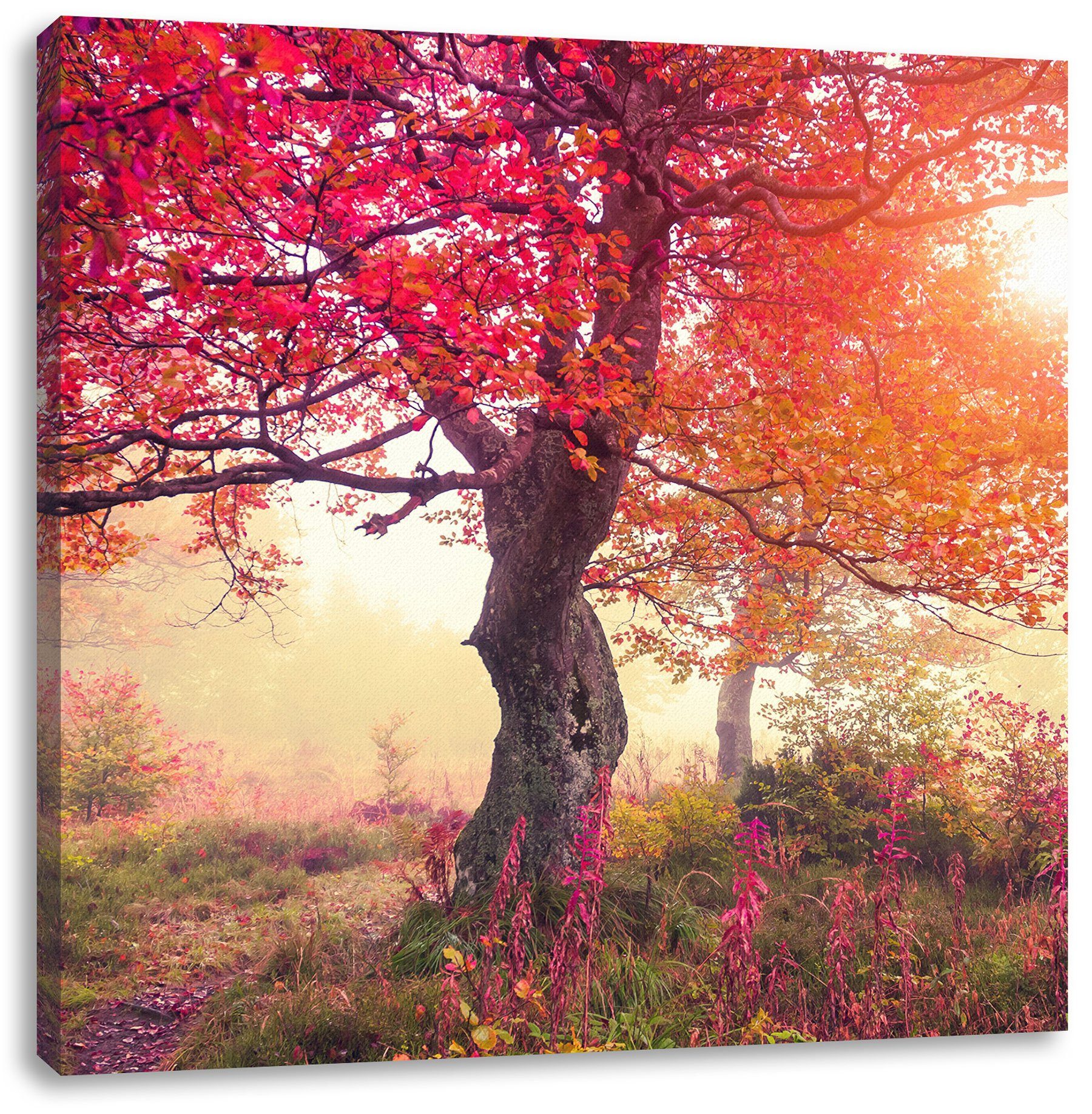 Herbstlandschaft, Leinwandbild bespannt, St), Herbstlandschaft fertig (1 Traumhafte Leinwandbild Zackenaufhänger inkl. Pixxprint Traumhafte
