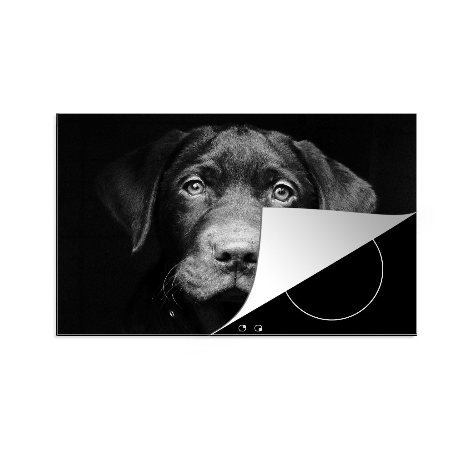 MuchoWow Herdblende-/Abdeckplatte Hund - Leicht - Schwarz, Vinyl, (1 tlg), 81x52 cm, Induktionskochfeld Schutz für die küche, Ceranfeldabdeckung