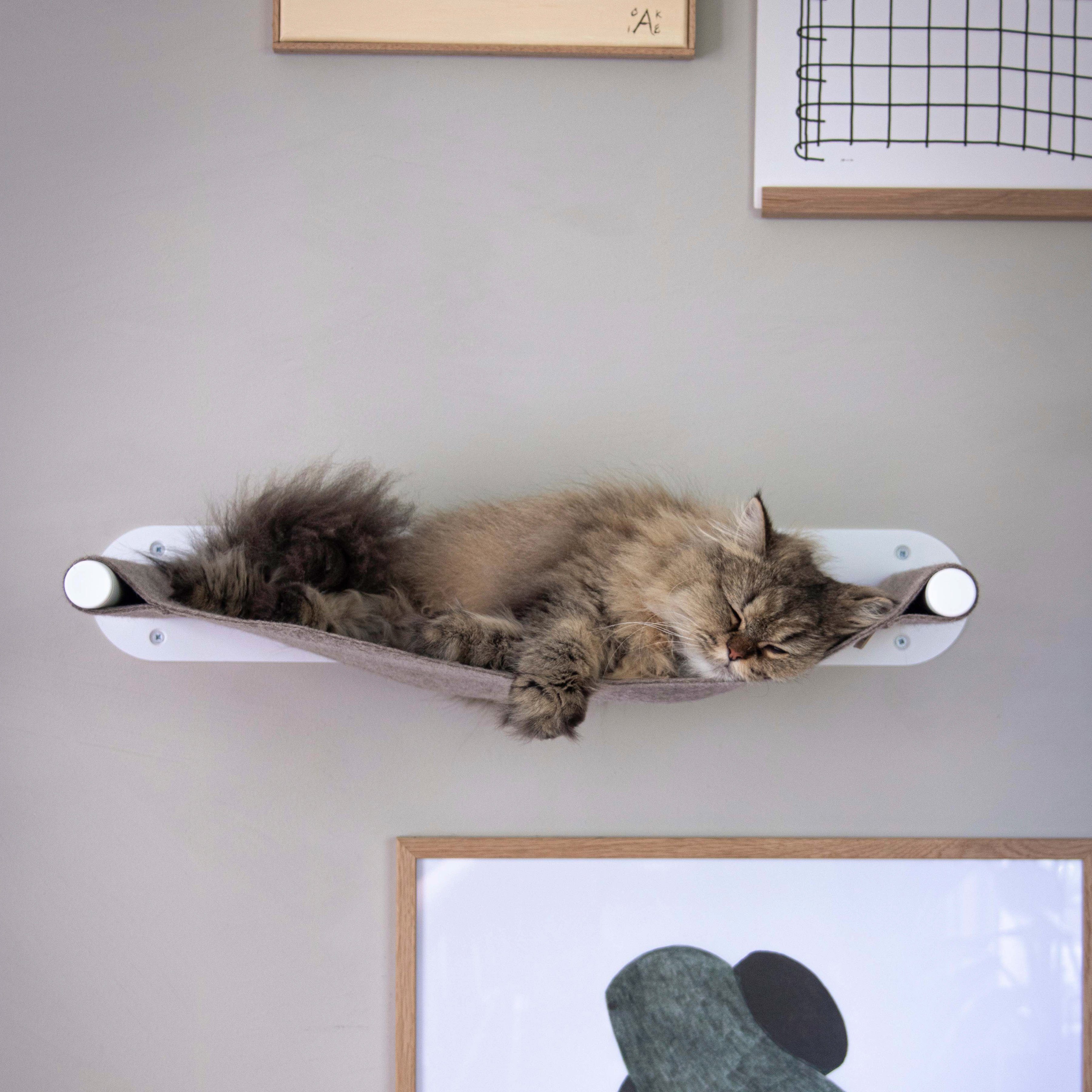 LucyBalu Katzen-Hängematte »SWING«, BxLxH: 65x35x10 cm online kaufen - Lucybalu Katzen Haengematte Swing Bxlxh 65x35x10 Cm Weiss SanD