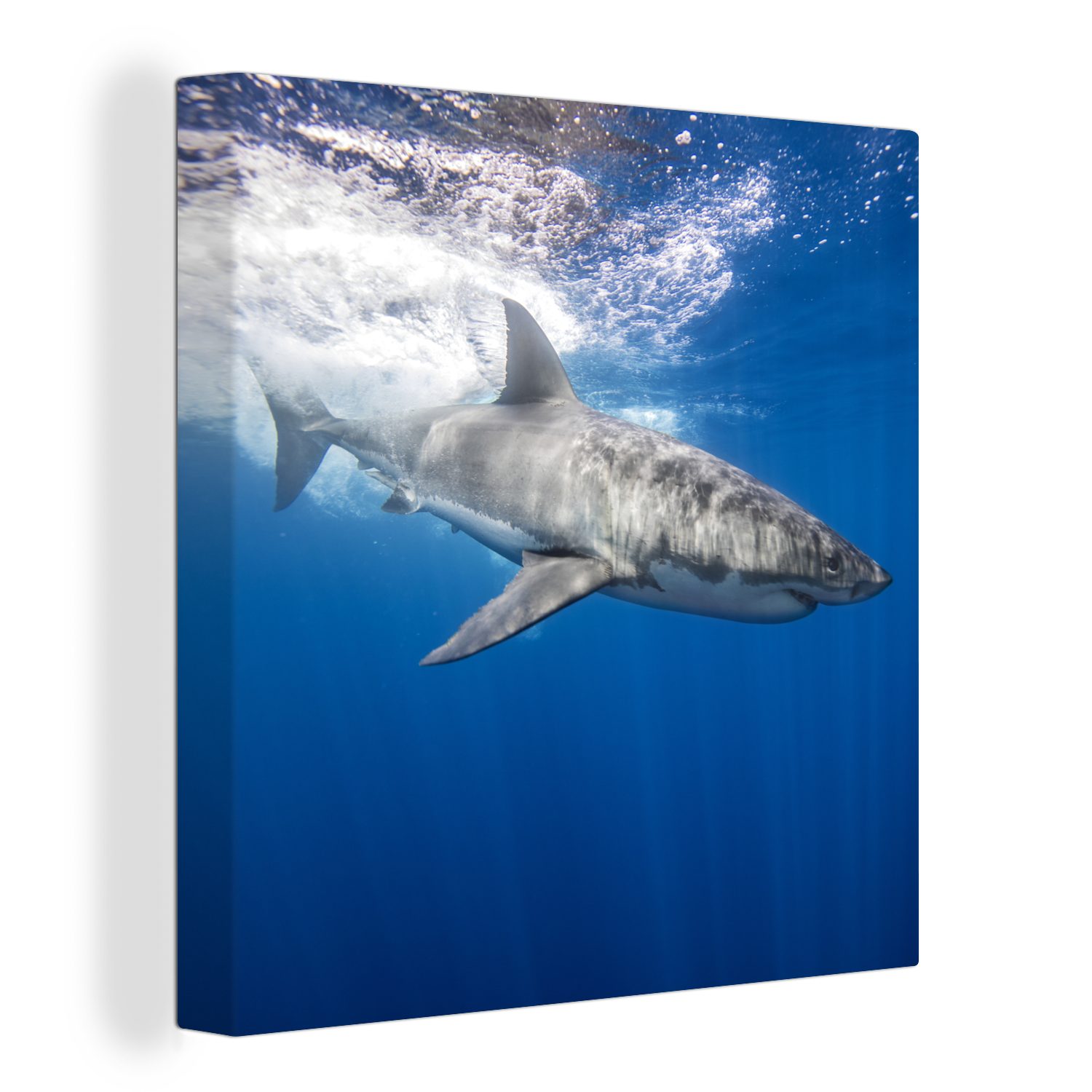 OneMillionCanvasses® Leinwandbild Hai - Meer - Wasser, (1 St), Leinwand Bilder für Wohnzimmer Schlafzimmer